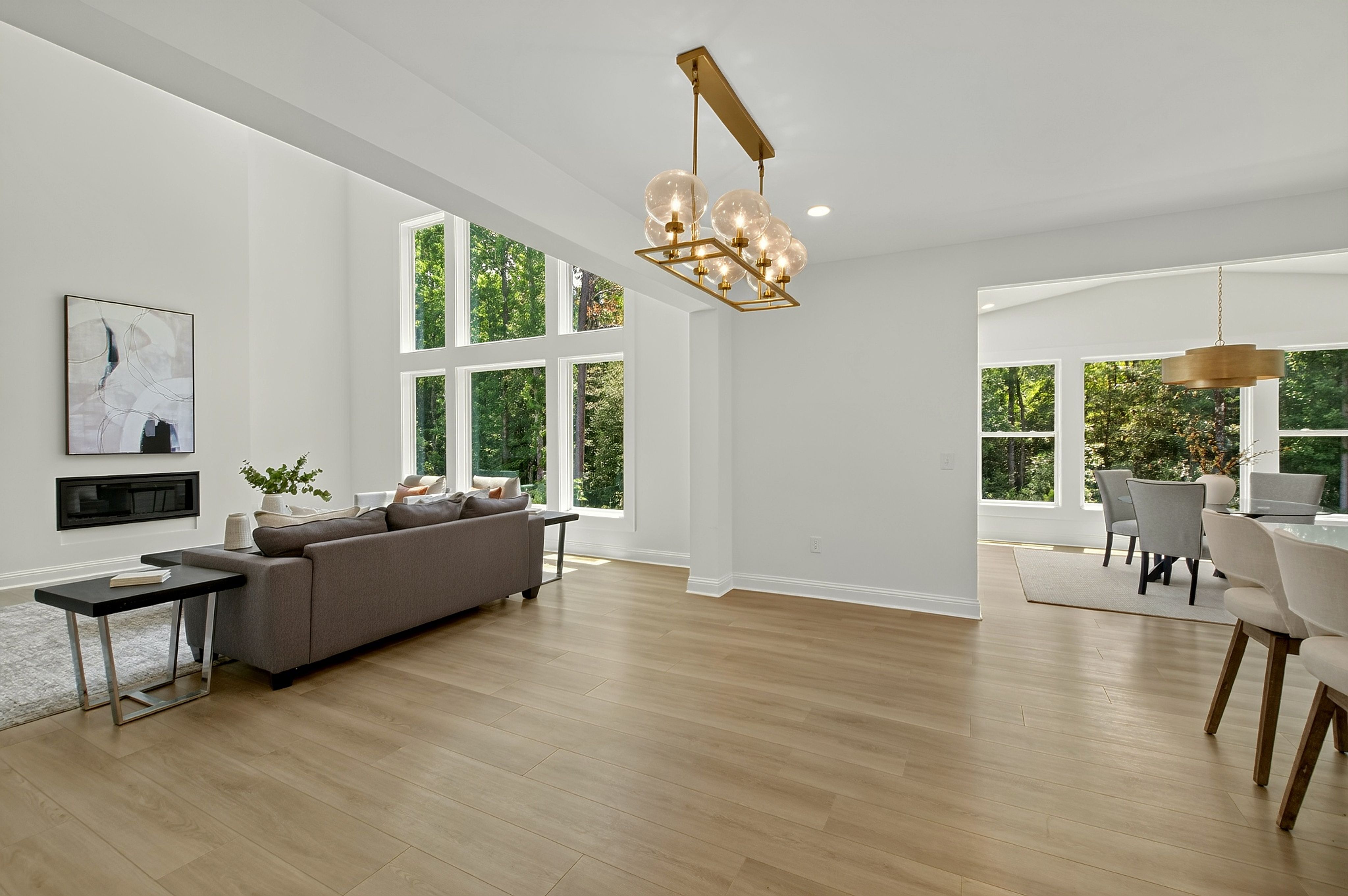  197 Silverside Drive, Angier, NC 27501 - 物件實景