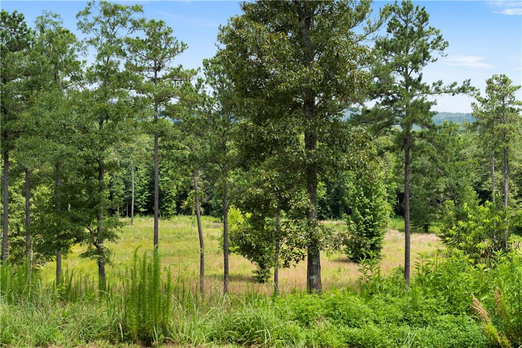 Rome, Georgia, 30165, United States, ,Land,For Sale,1892024