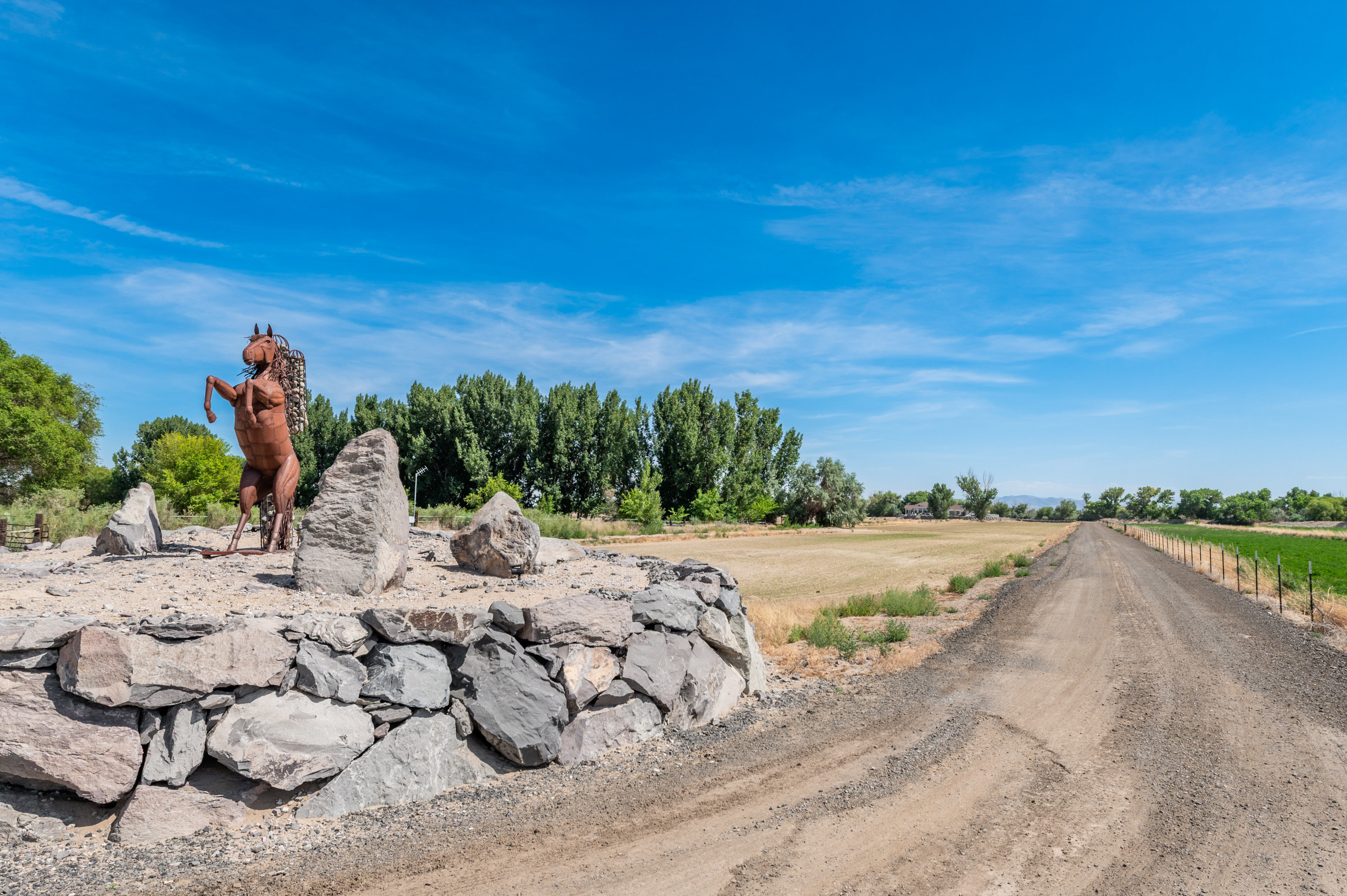  Extraordinary Fallon Estate, now offered with additional acreage - 物件實景