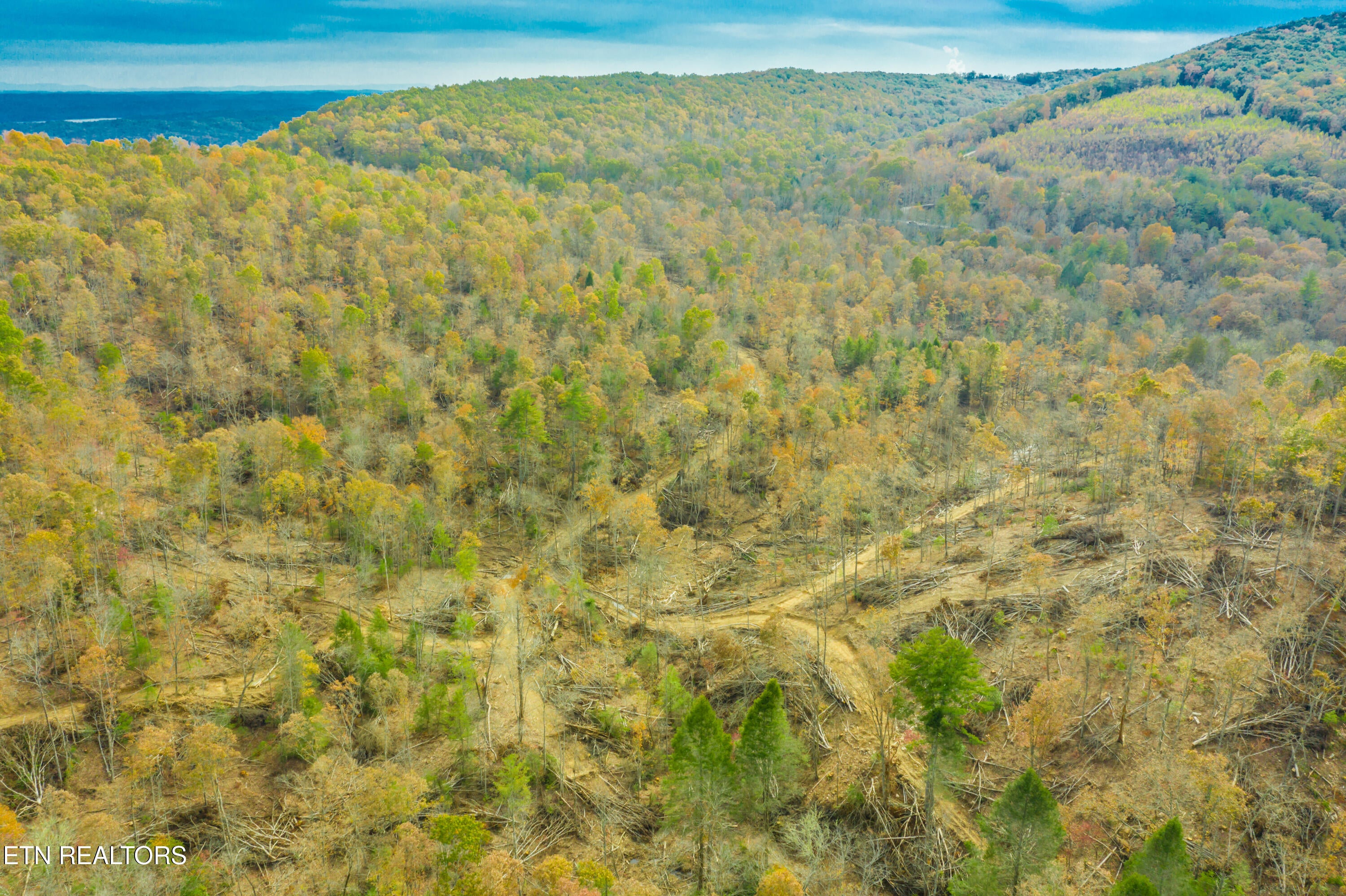 Rockwood, Tennessee, 37854, United States, ,Land,For Sale,1806468