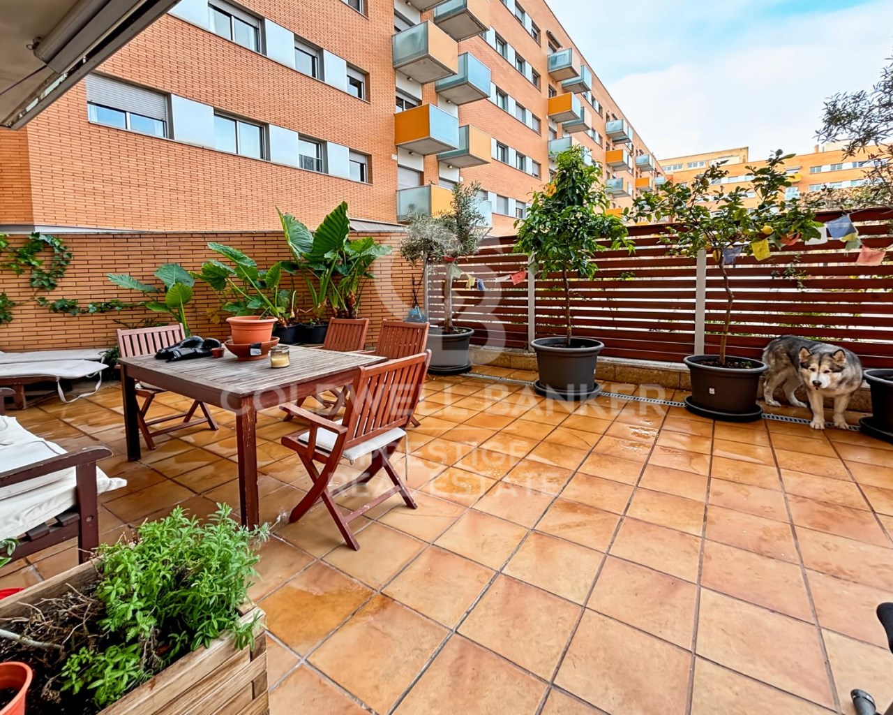 Barcelona, Catalonia, ES, 4 Bedrooms Bedrooms, ,2 BathroomsBathrooms,Residential,For Sale,1759816