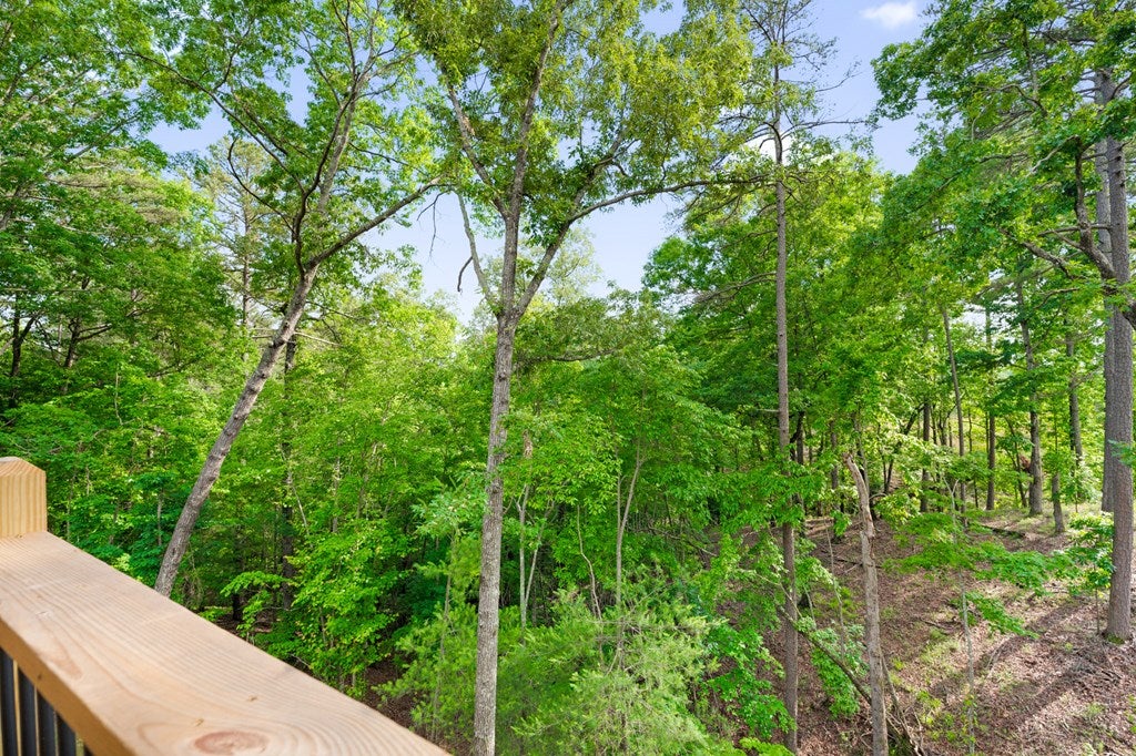 Ellijay, Georgia, 30540, United States, 3 Bedrooms Bedrooms, ,3 BathroomsBathrooms,Residential,For Sale,1840350