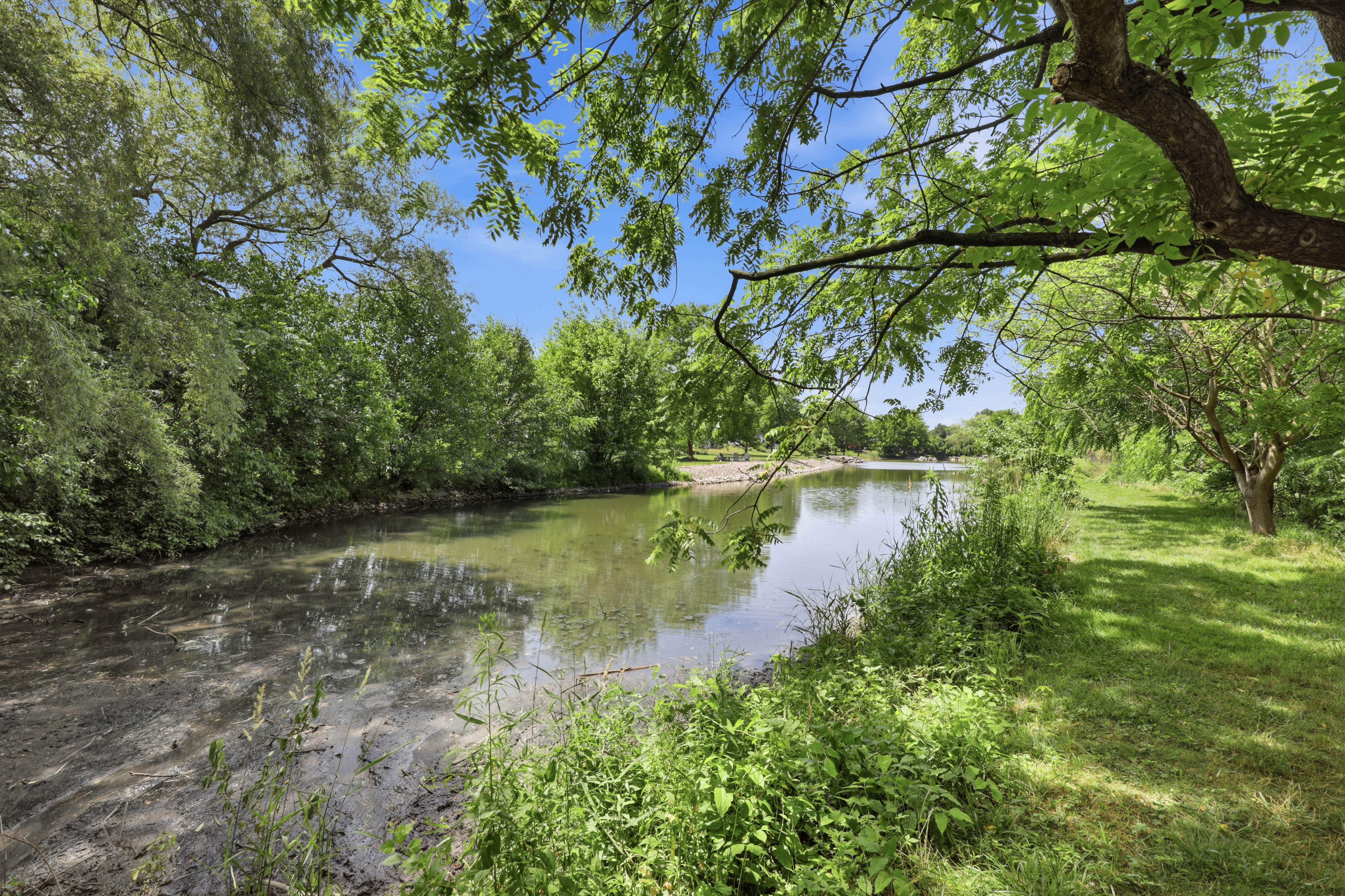  367 Millpond Dr - 物件實景