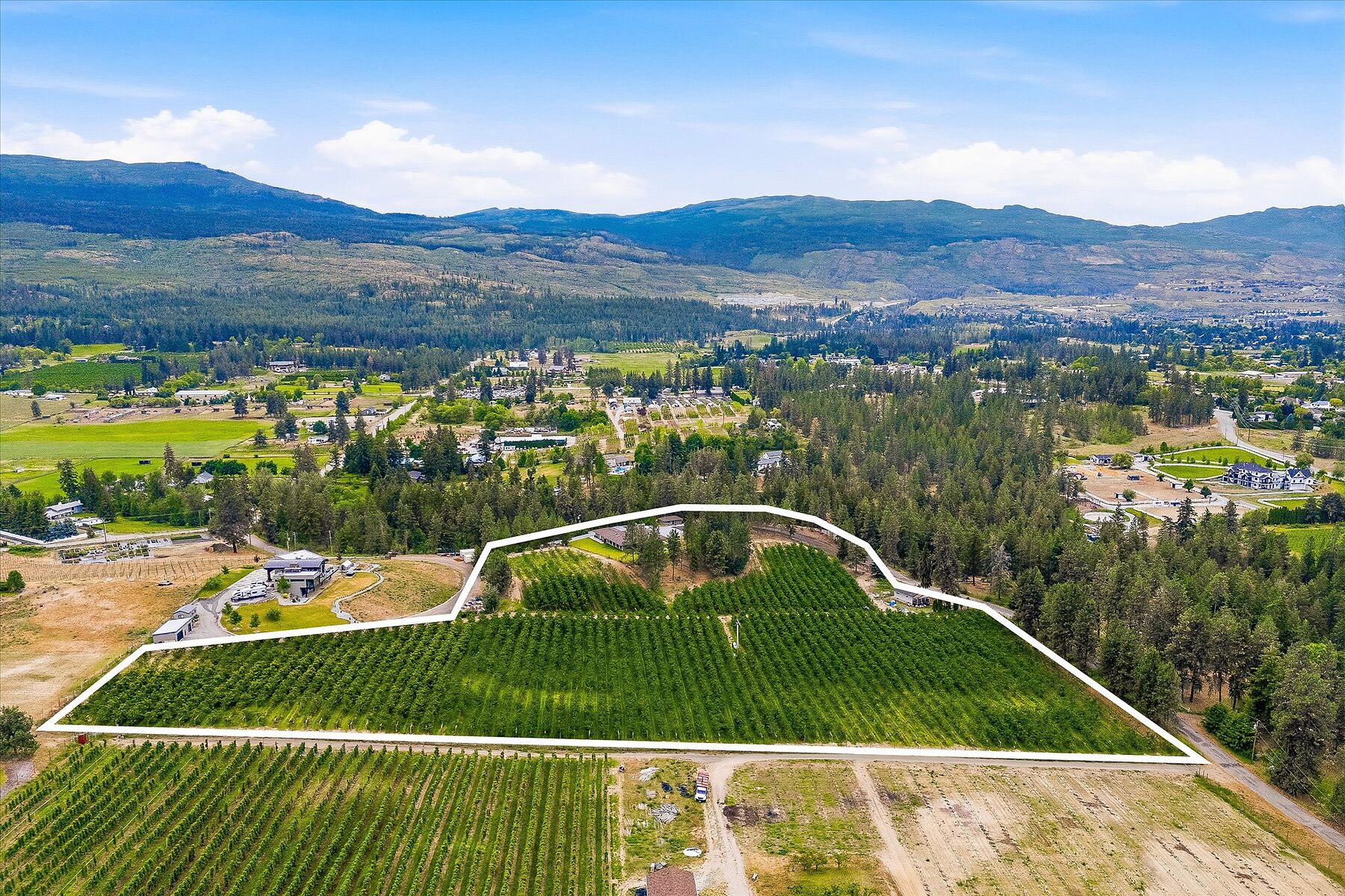  12.81 Acre Orchard - 物件實景