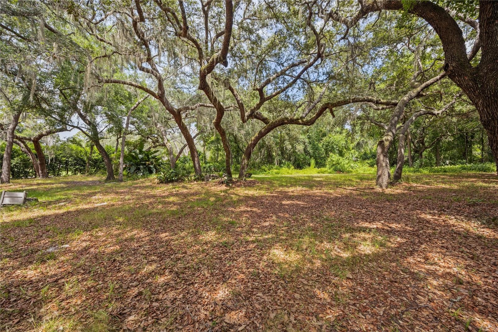 SANFORD, Florida, 32771, United States, 3 Bedrooms Bedrooms, ,2 BathroomsBathrooms,Residential,For Sale,1924466