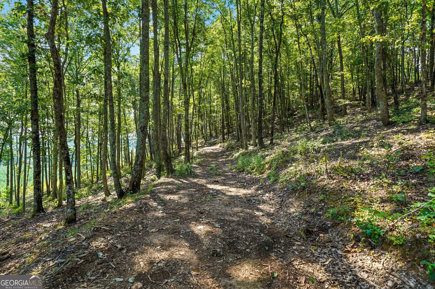 Waleska, Georgia, 30183, United States, ,Land,For Sale,1929808