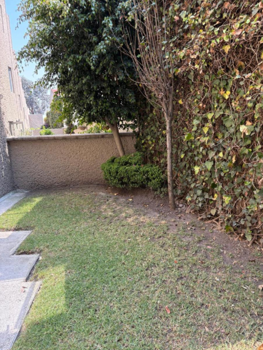 La Magdalena Contreras, Ciudad de México, 10200, Mexico, 4 Bedrooms Bedrooms, ,7 BathroomsBathrooms,Residential,For Sale,1847210