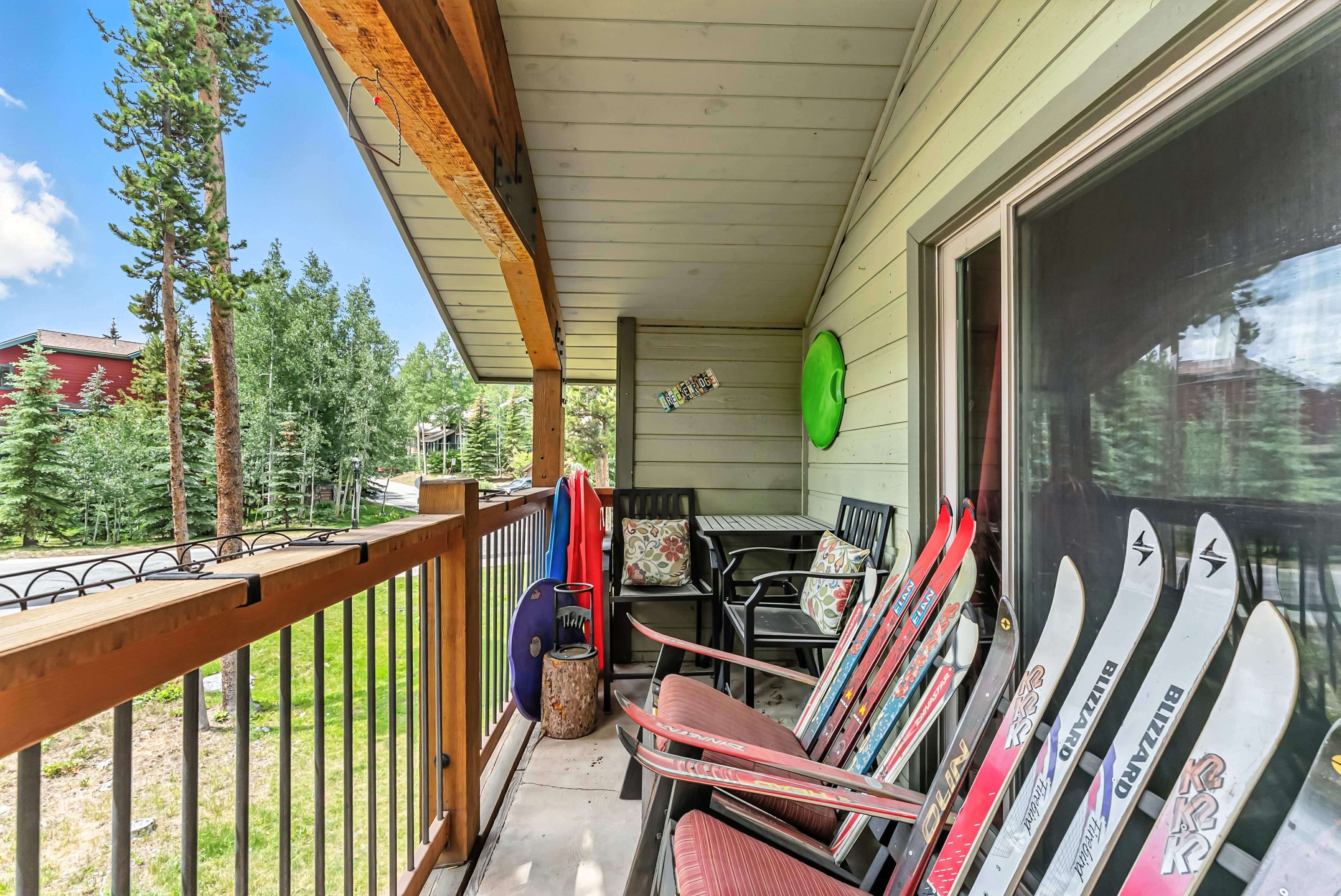  550 S French Street,Breckenridge, CO, 80424 - 物件實景