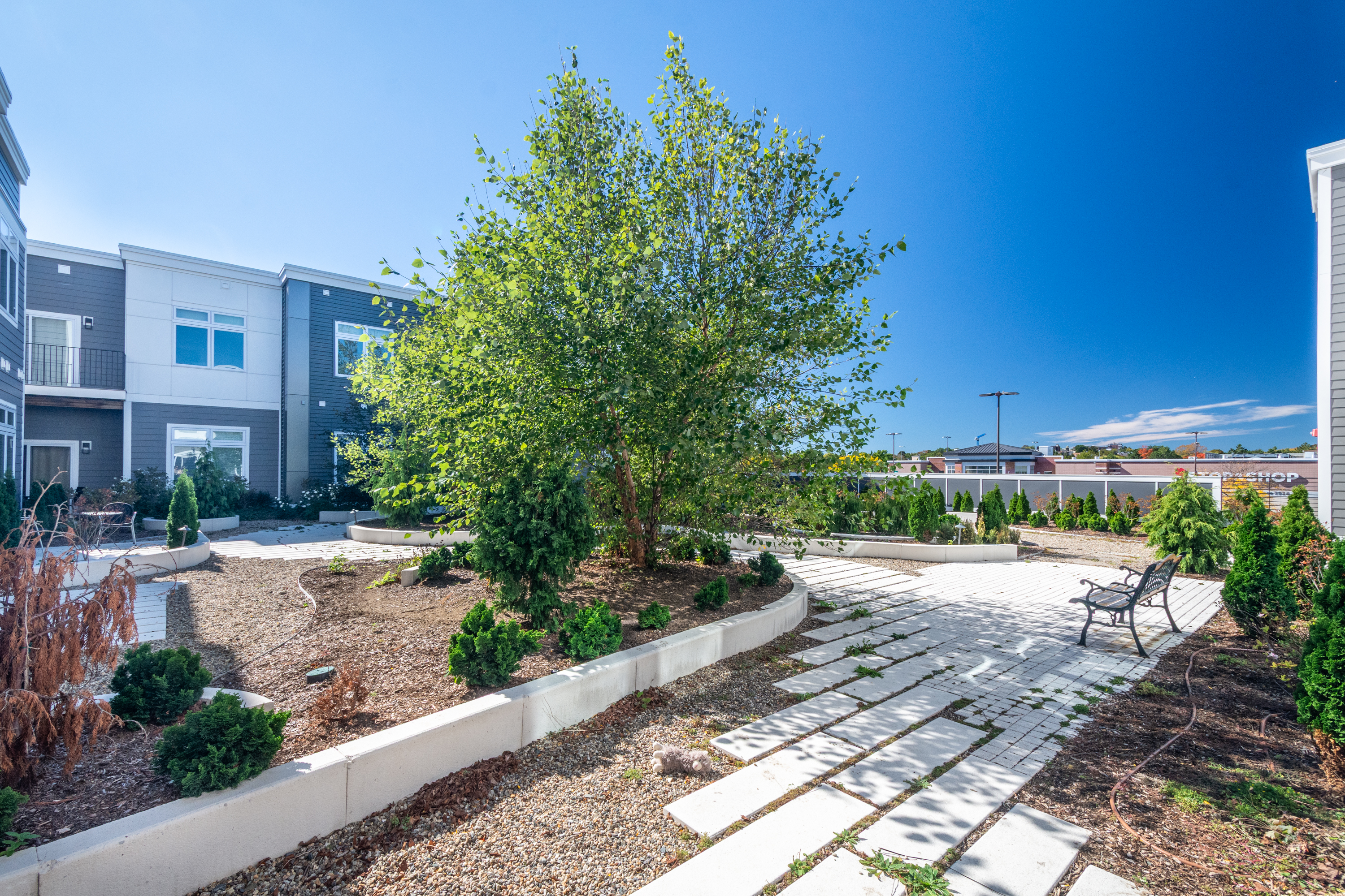  60 Cross Street East, Somerville, MA 02145 - 物件實景