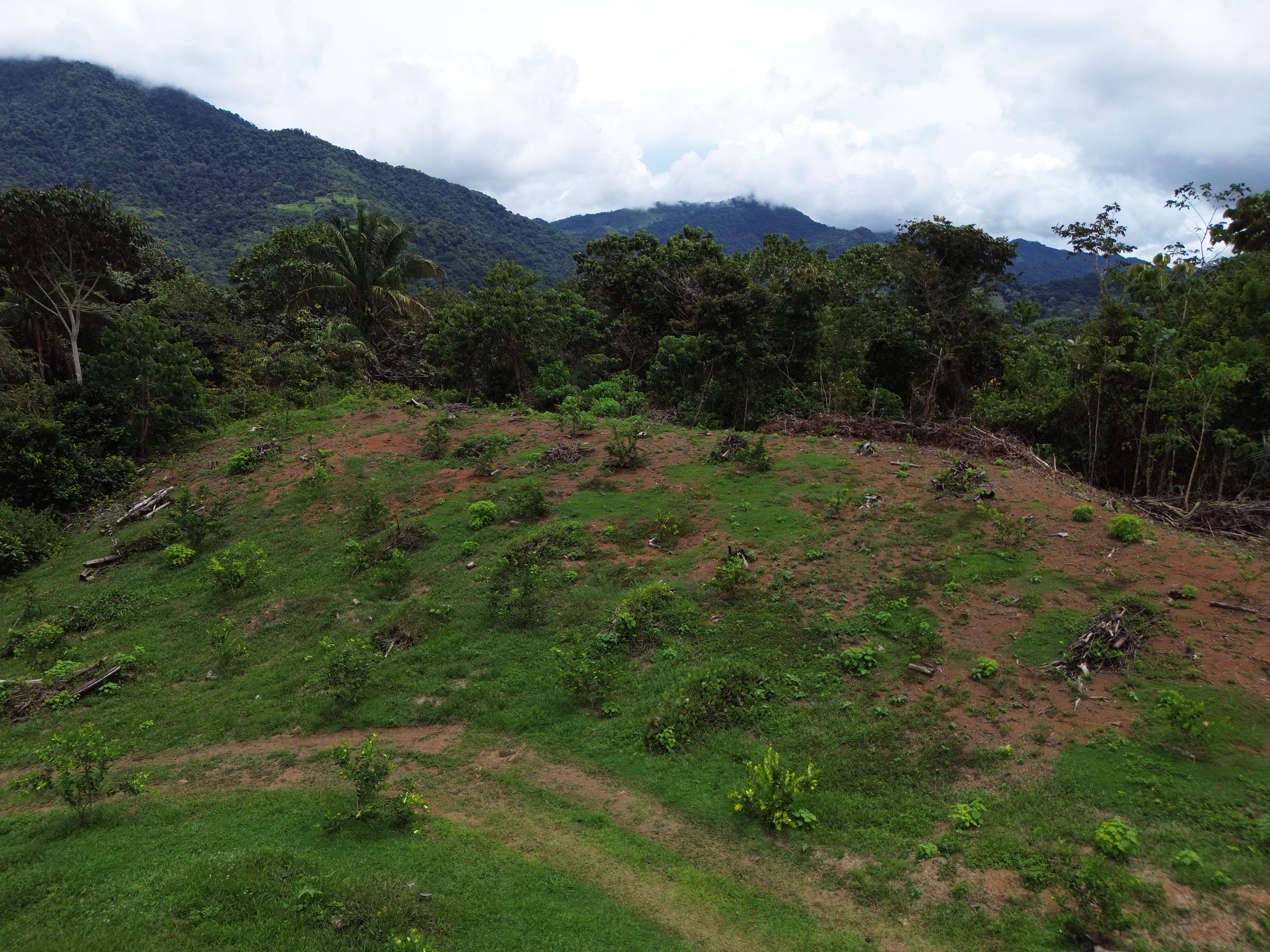 Palmar Norte, Palmar, Puntarenas, CR, ,Land,For Sale,Palmar Norte,1667866