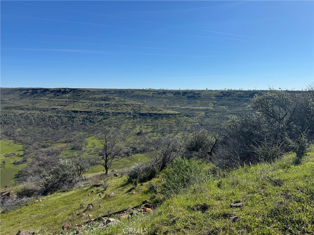 Chico, California, 95928, United States, ,Land,For Sale,1974273