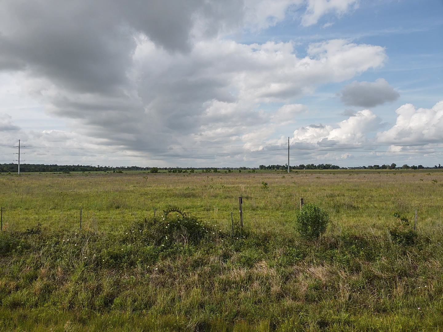 Lake Charles, Louisiana, 70607, United States, ,Land,For Sale,1974813
