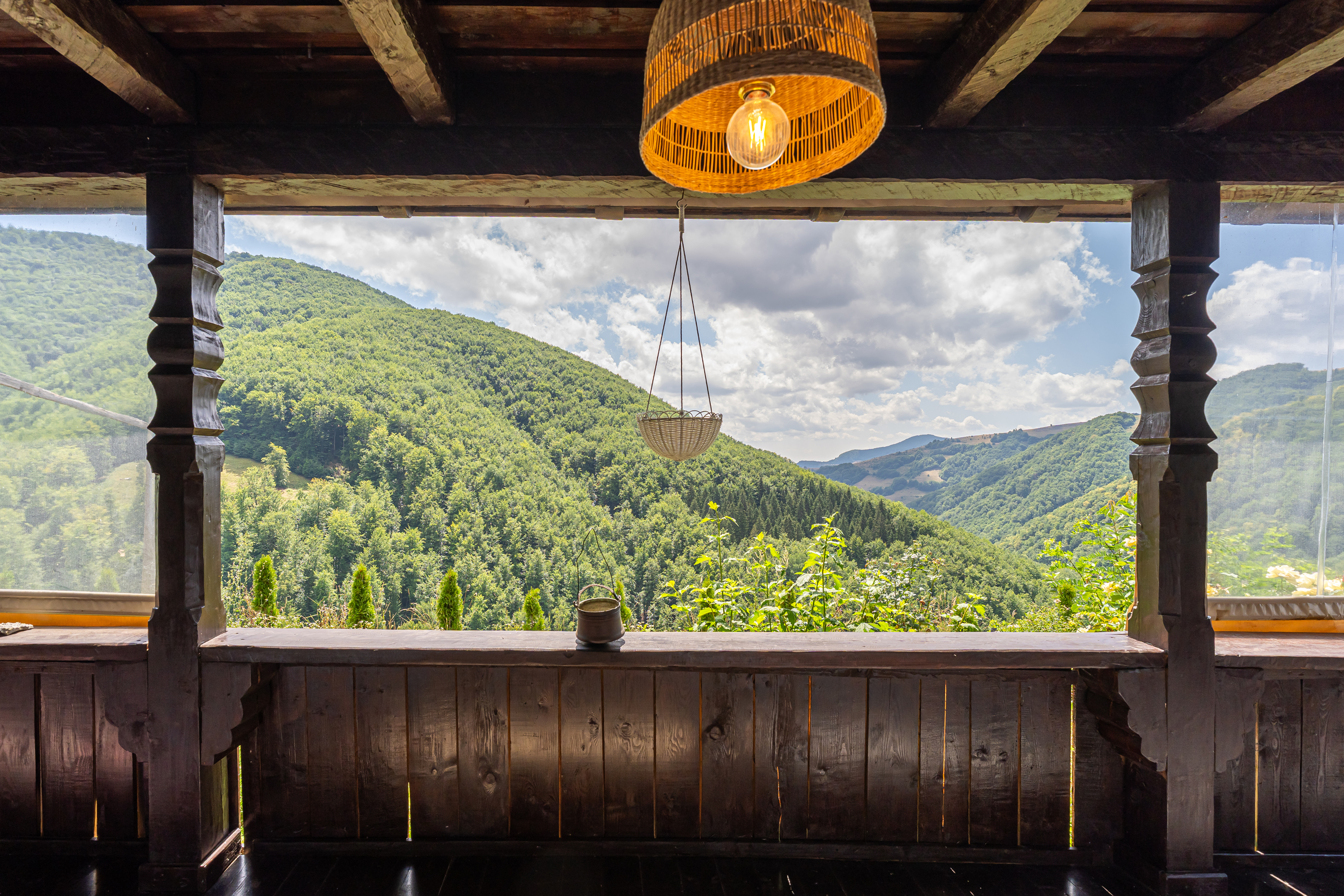  Versatile 22-Hectare Private Estate - Forested Heart of the Apuseni Mountains - 物件實景