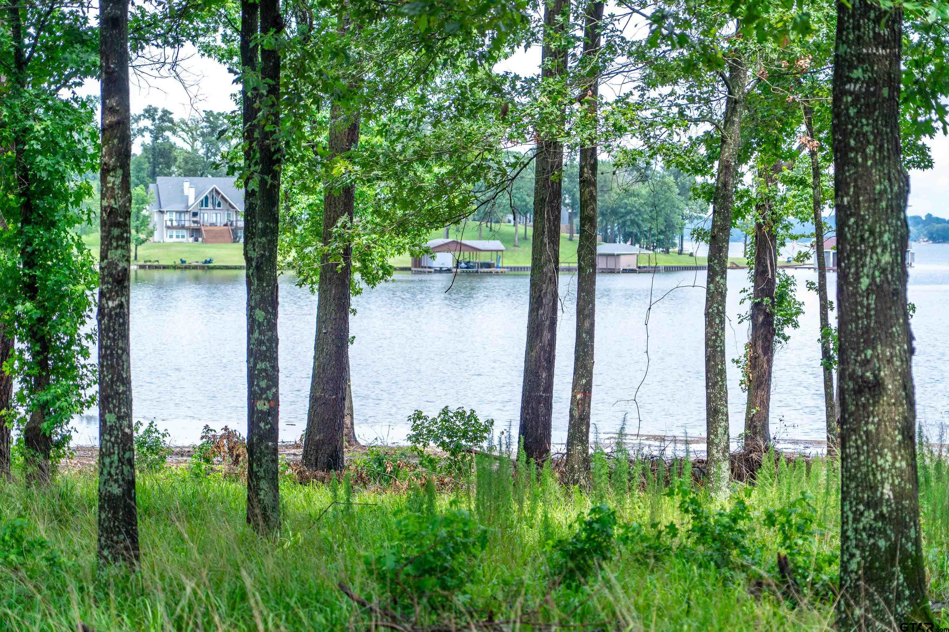 Scroggins, Texas, 75480, United States, ,Land,For Sale,1975863