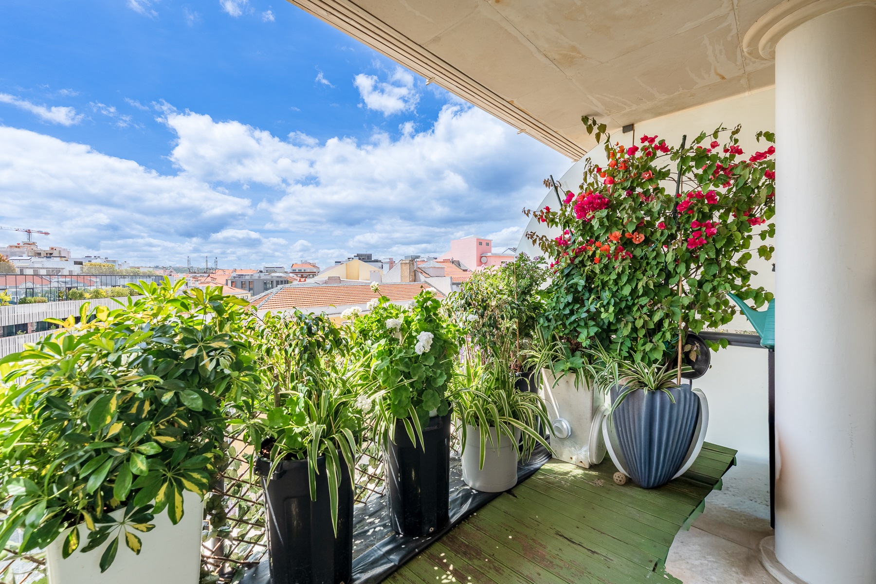  Flat, 3 bedrooms, for Sale - 物件實景