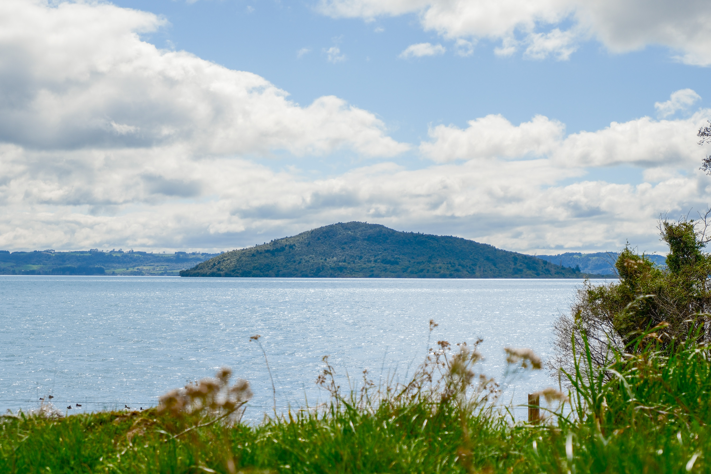  Lakefront Living at Hinemoa Point - 物件實景