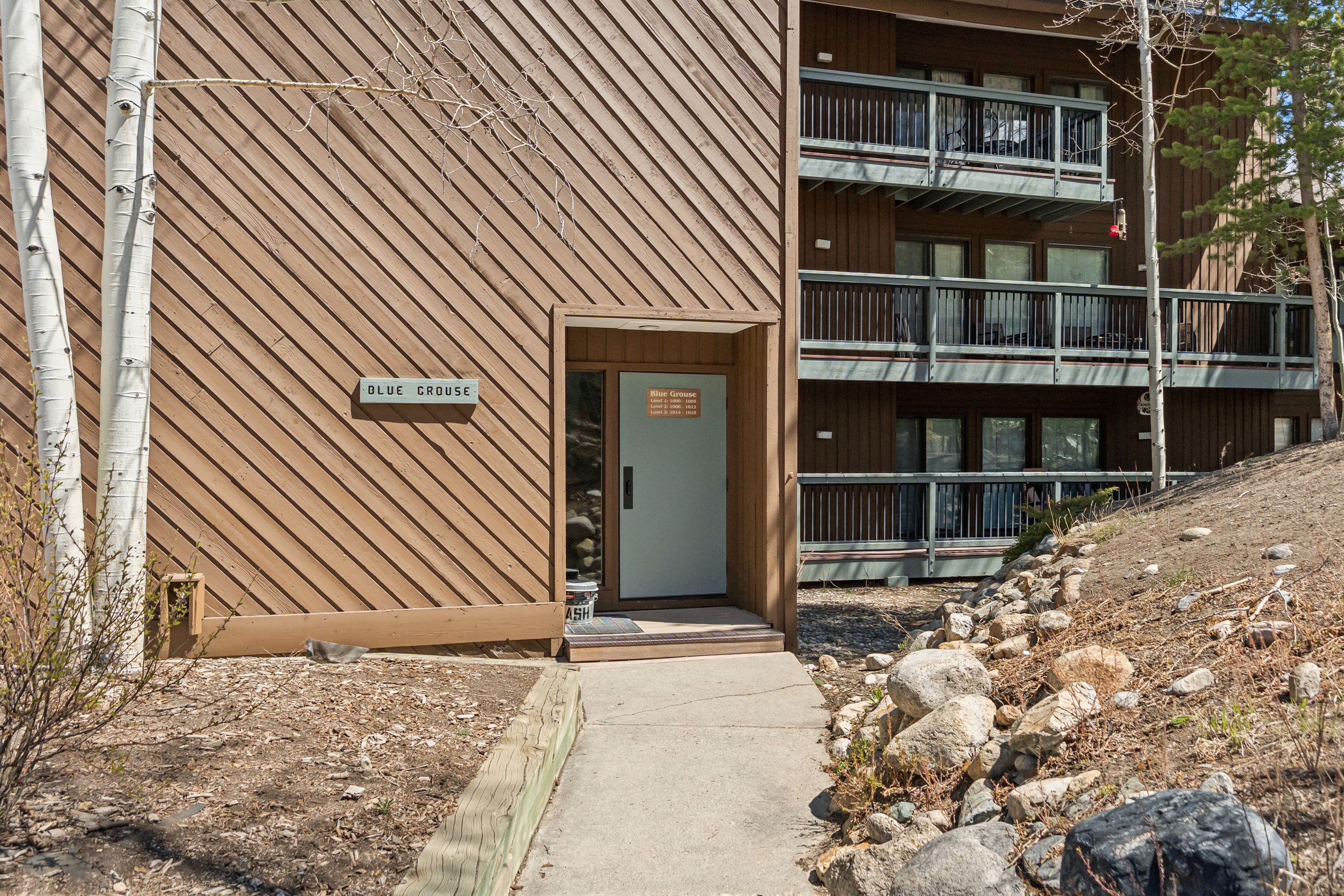  423 Wild Irishman Road, Dillon, CO, 80435 - 物件實景