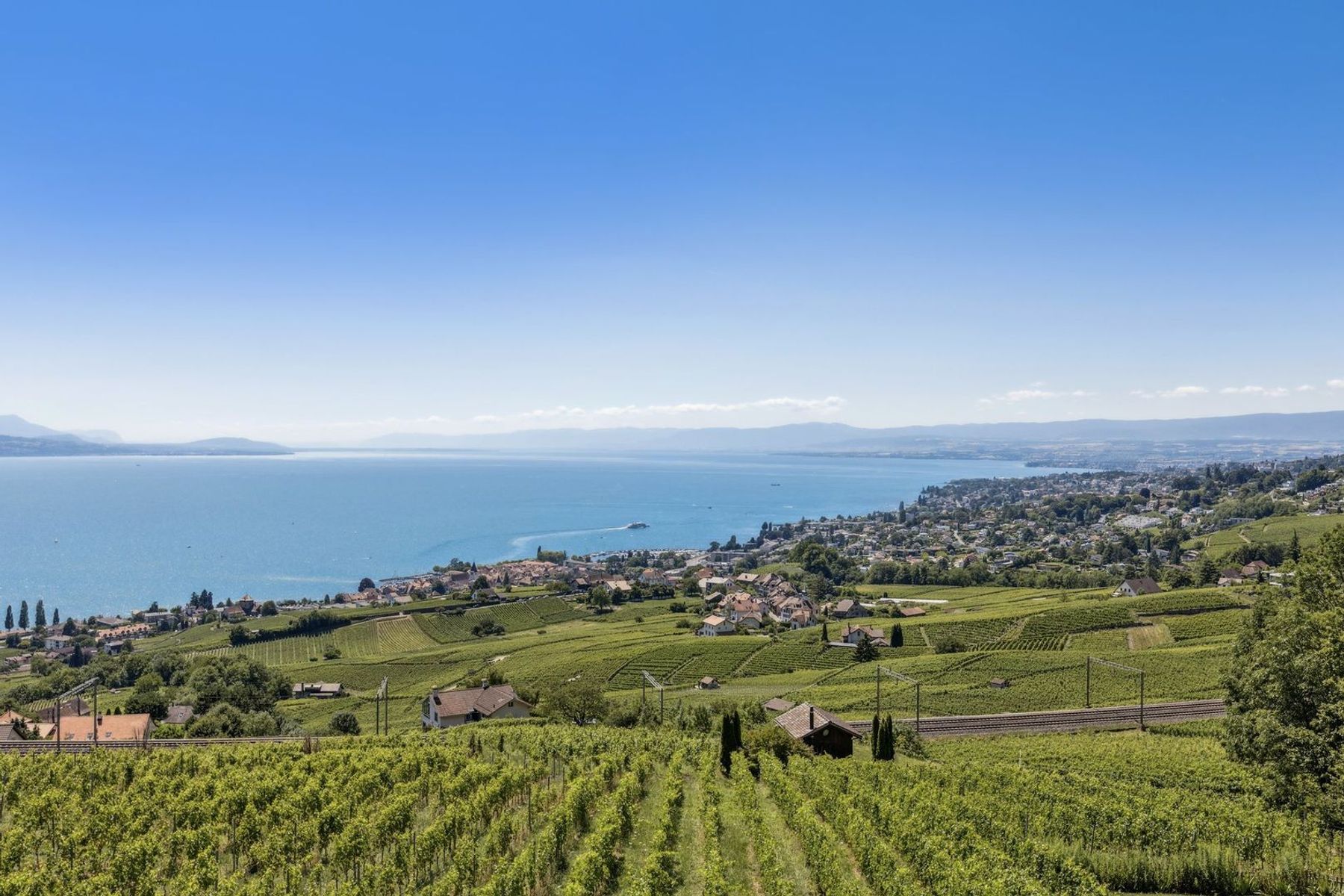  In the heart of the vineyards, an exceptional winegrower