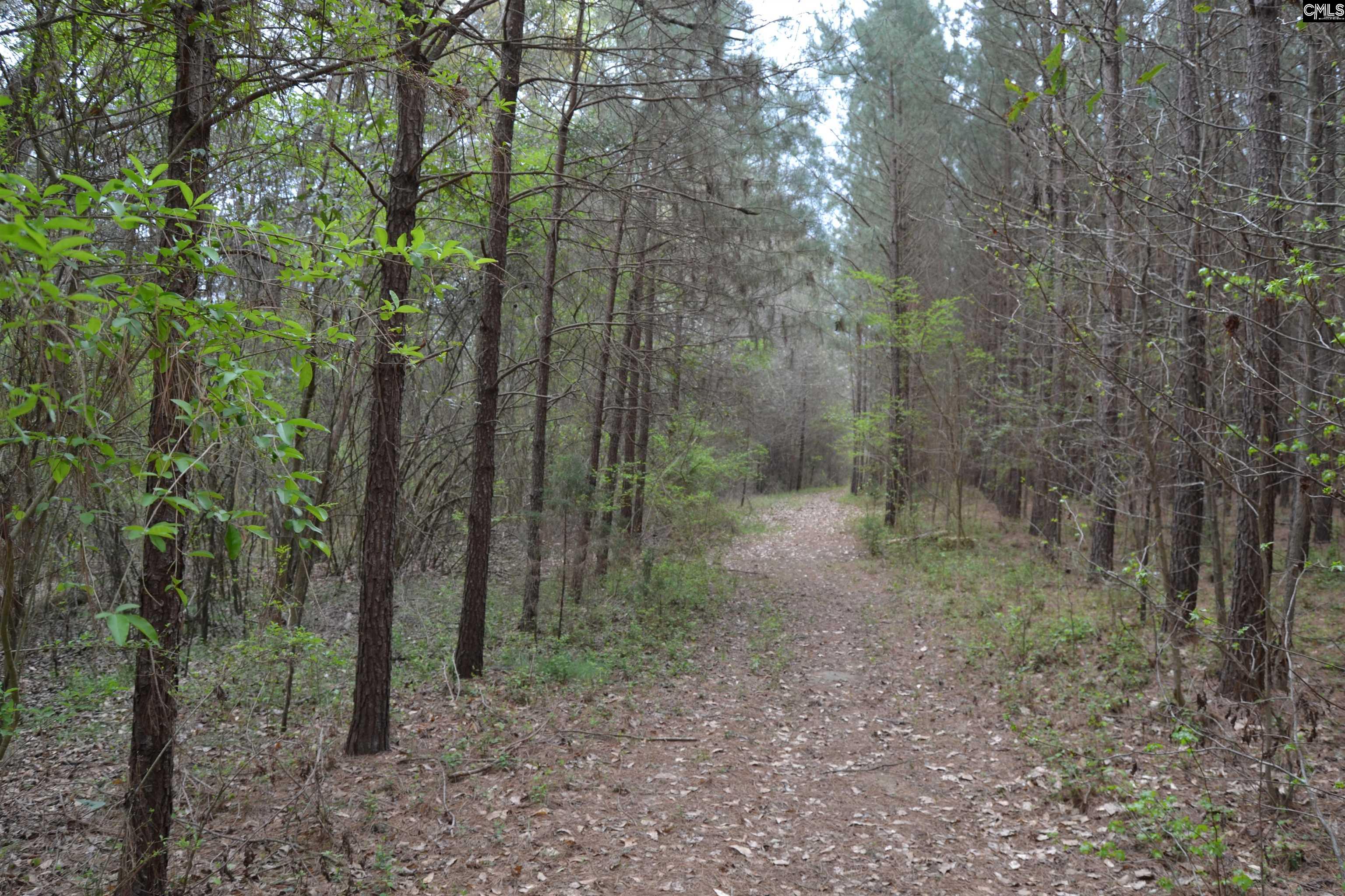  1309 Farming Creek Road  Irmo, South Carolina - 物件實景