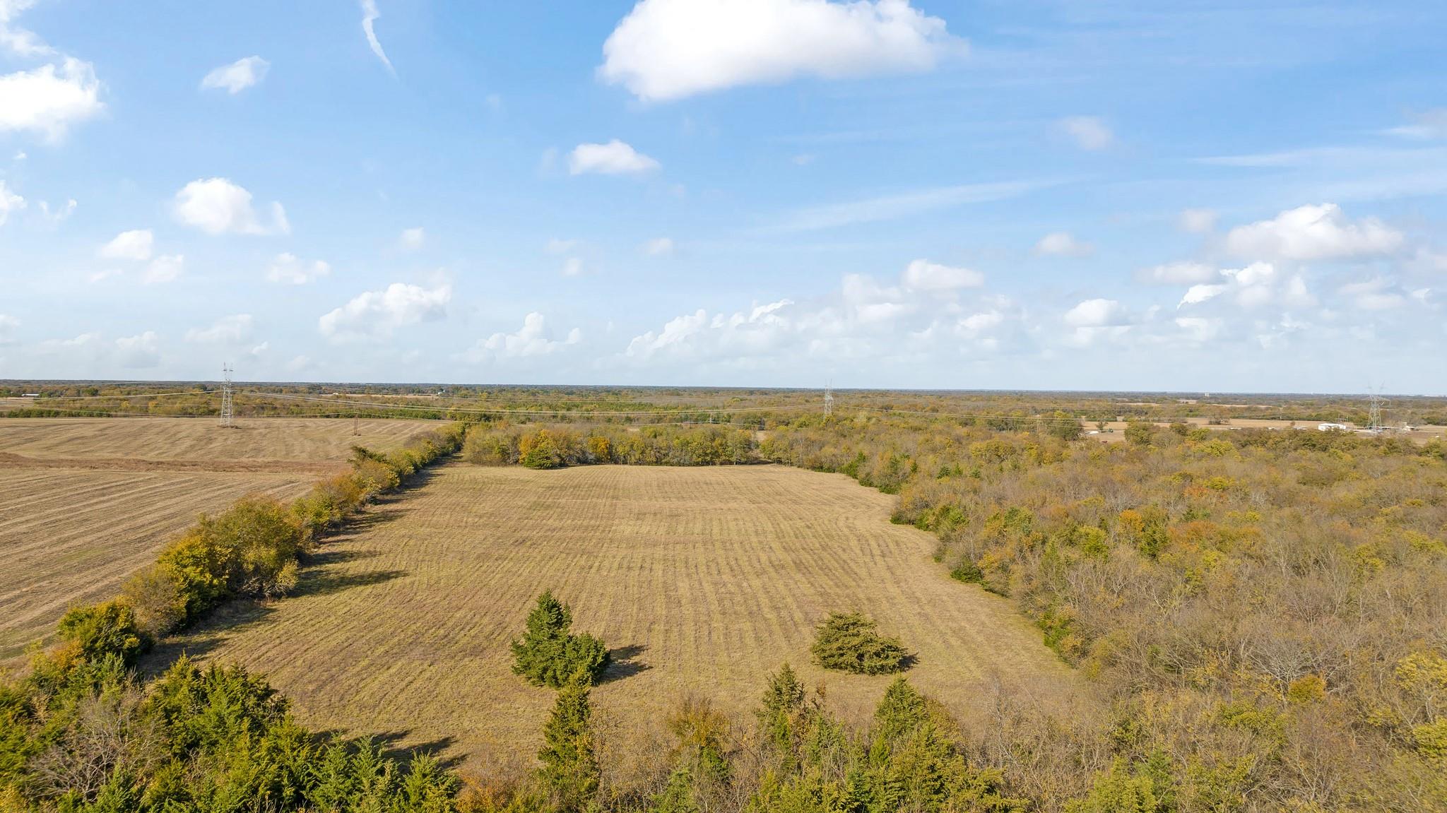 Honey Grove, Texas, 75446, United States, ,Land,For Sale,1992343