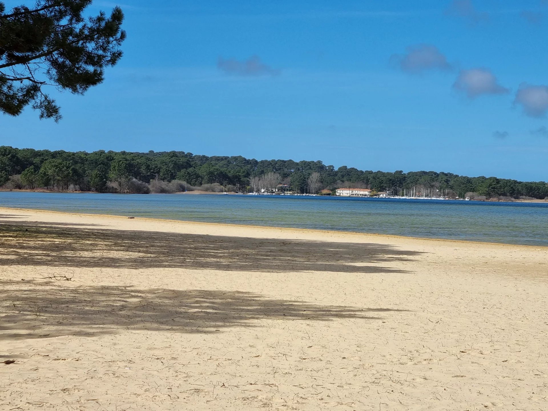 Biscarrosse, New Aquitaine, 40600, FR, 5 Bedrooms Bedrooms, ,8 BathroomsBathrooms,Residential,For Sale,1668952