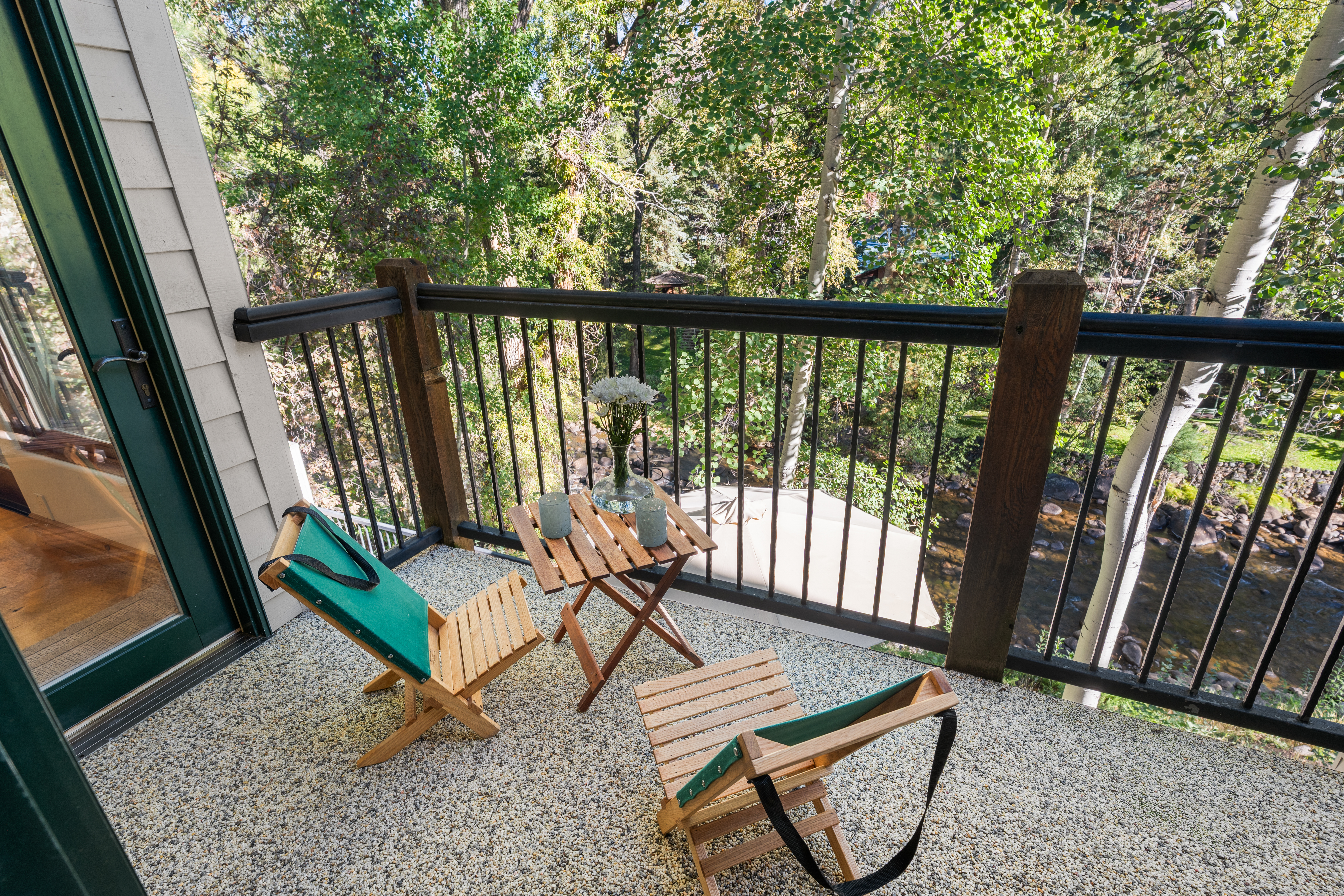  960 E Hopkins Avenue, Aspen, CO, 81611 - 物件實景
