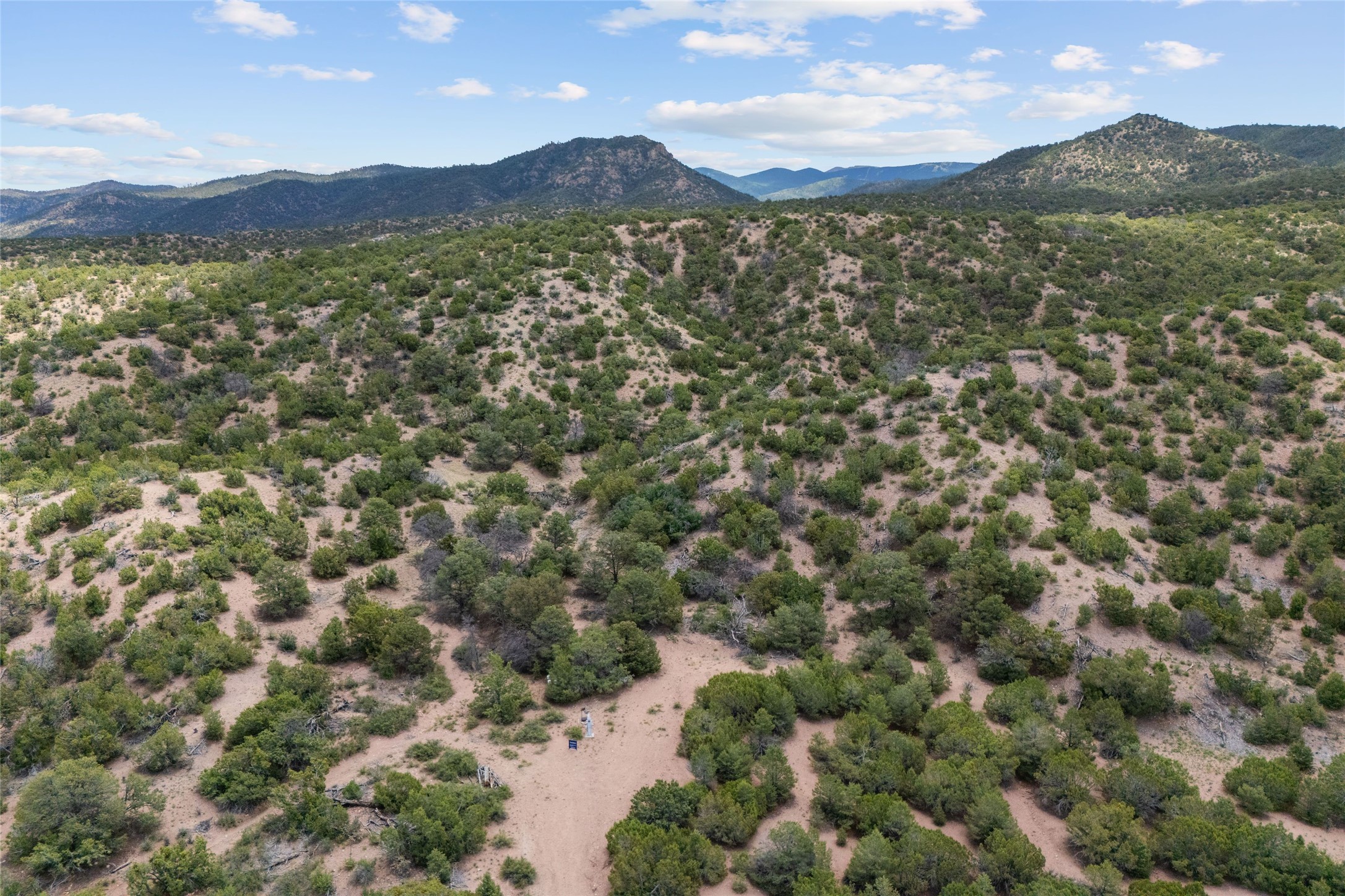  47 Pacheco Meadow Lane - 物件實景