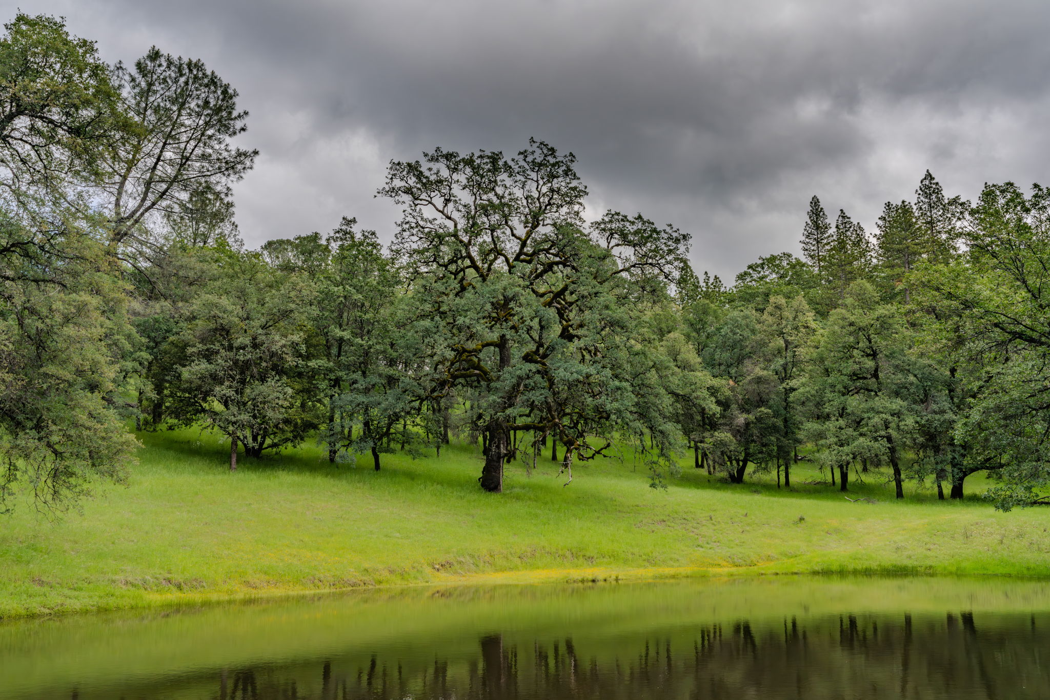  19351 Fiddletown Road, Fiddletown, CA 95629 - 物件實景