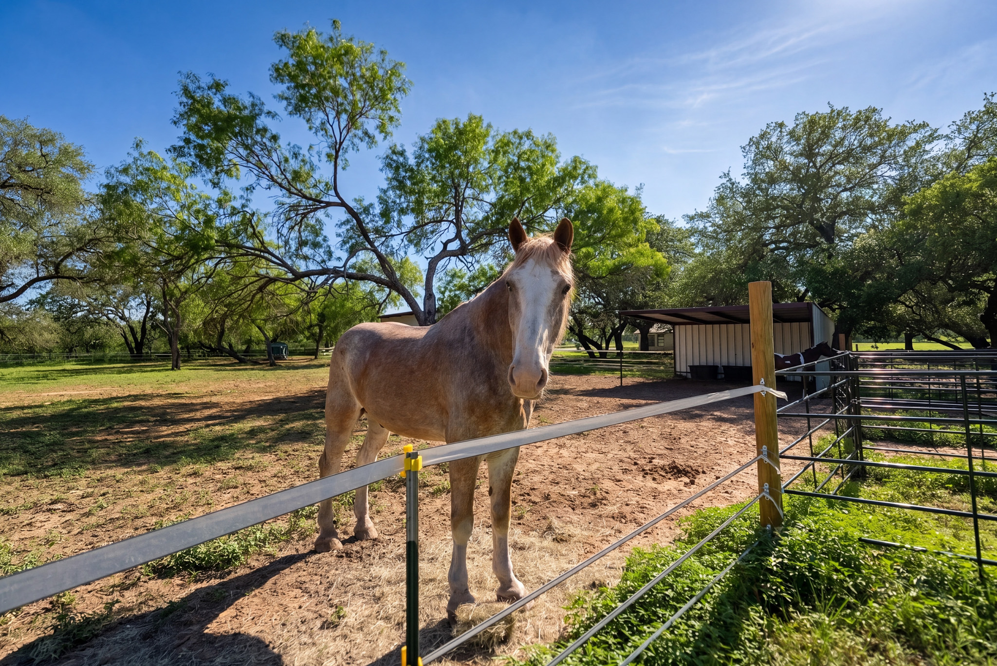  Private 10-Acre Horse Property in Lytle - 物件實景