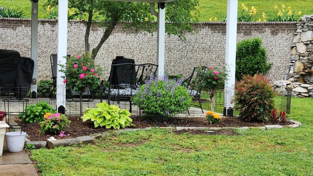 Lewisburg, Tennessee, 37091, United States, 4 Bedrooms Bedrooms, ,3 BathroomsBathrooms,Residential,For Sale,1999662