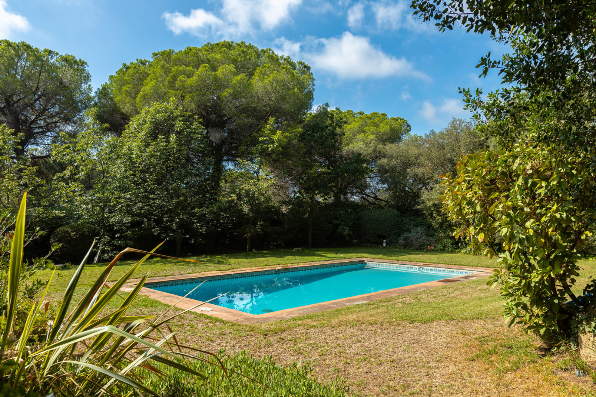  House with large plot and sea views in Llavaneres - Costa norte BCN - 物件實景
