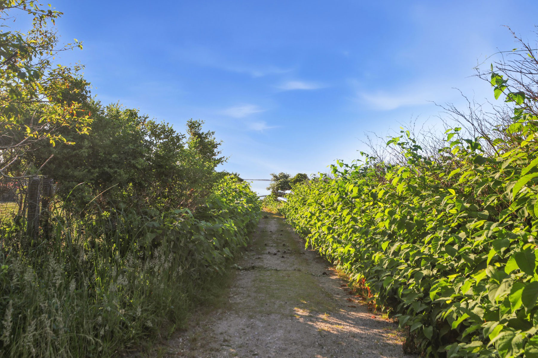  1 Chadwick Court, Nantucket, MA, 02554 - 物件實景