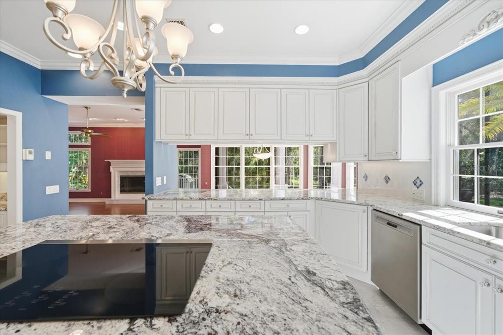 Tampa, Florida, 33647, United States, 4 Bedrooms Bedrooms, ,6 BathroomsBathrooms,Residential,For Sale,1989549