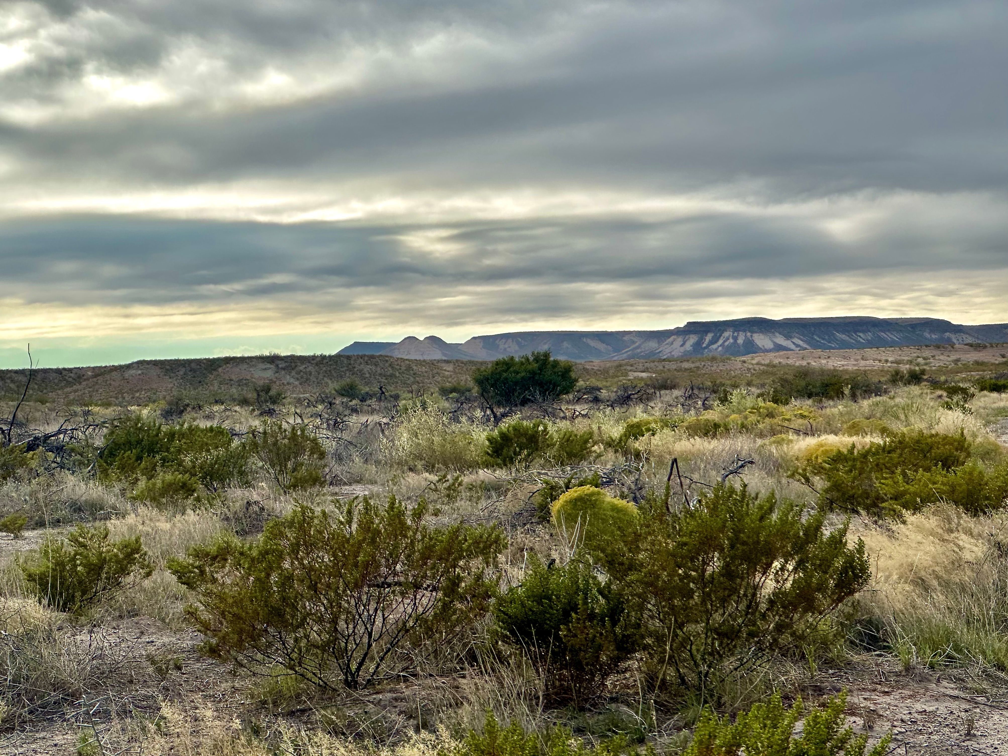  The Alamito Ranch in Presidio County - 物件實景