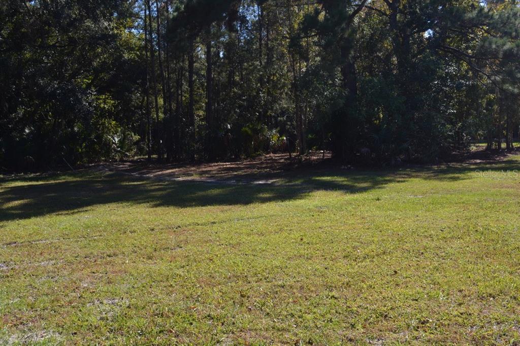 Sanford, Florida, 32773, United States, ,Land,For Sale,1987674