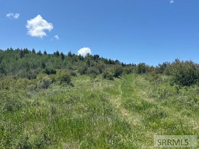 RIRIE, Idaho, 83443, United States, ,Residential,For Sale,1974893