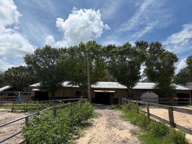 Odessa, Florida, 33556, United States, ,Land,For Sale,1974573