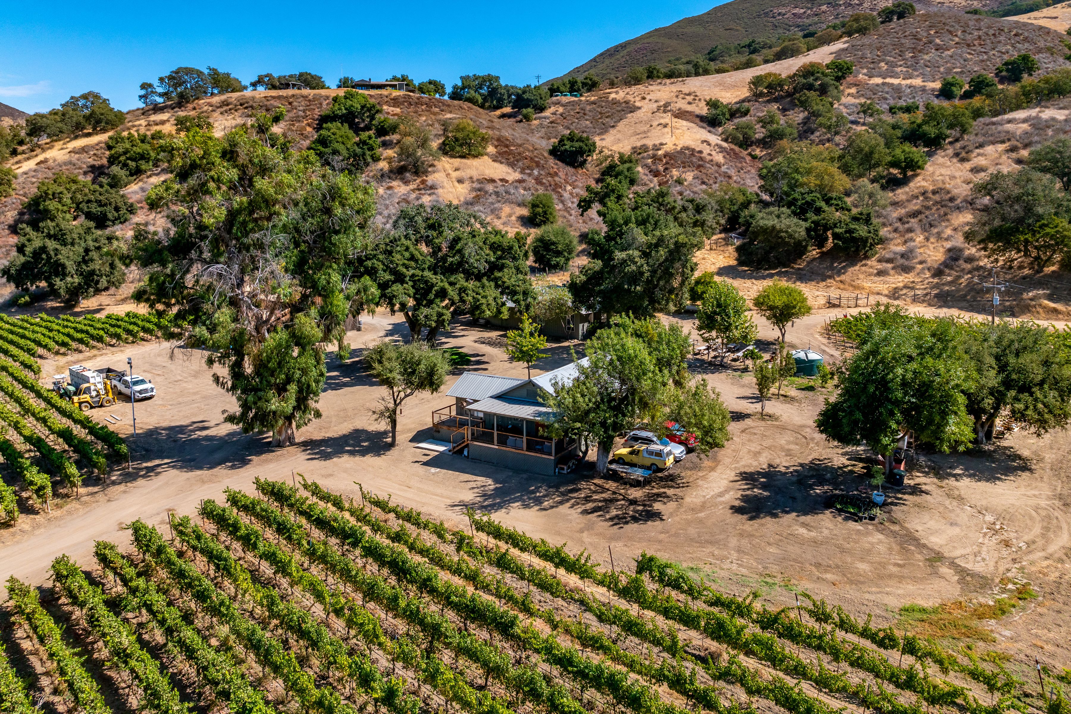  Extraordinary Vineyard Estate - 物件實景