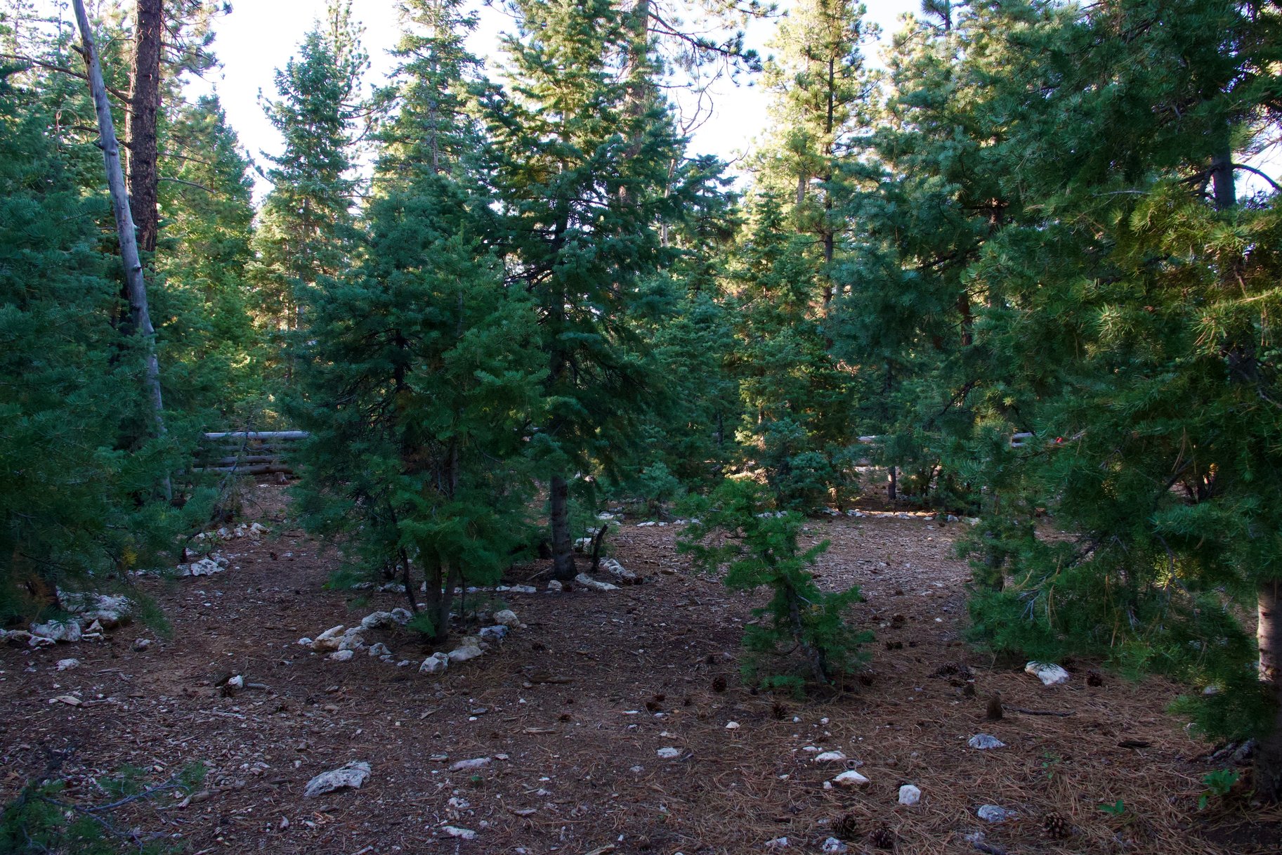  Charming A-Frame Retreat Backing National Forest With Panoramic Views - 物件實景