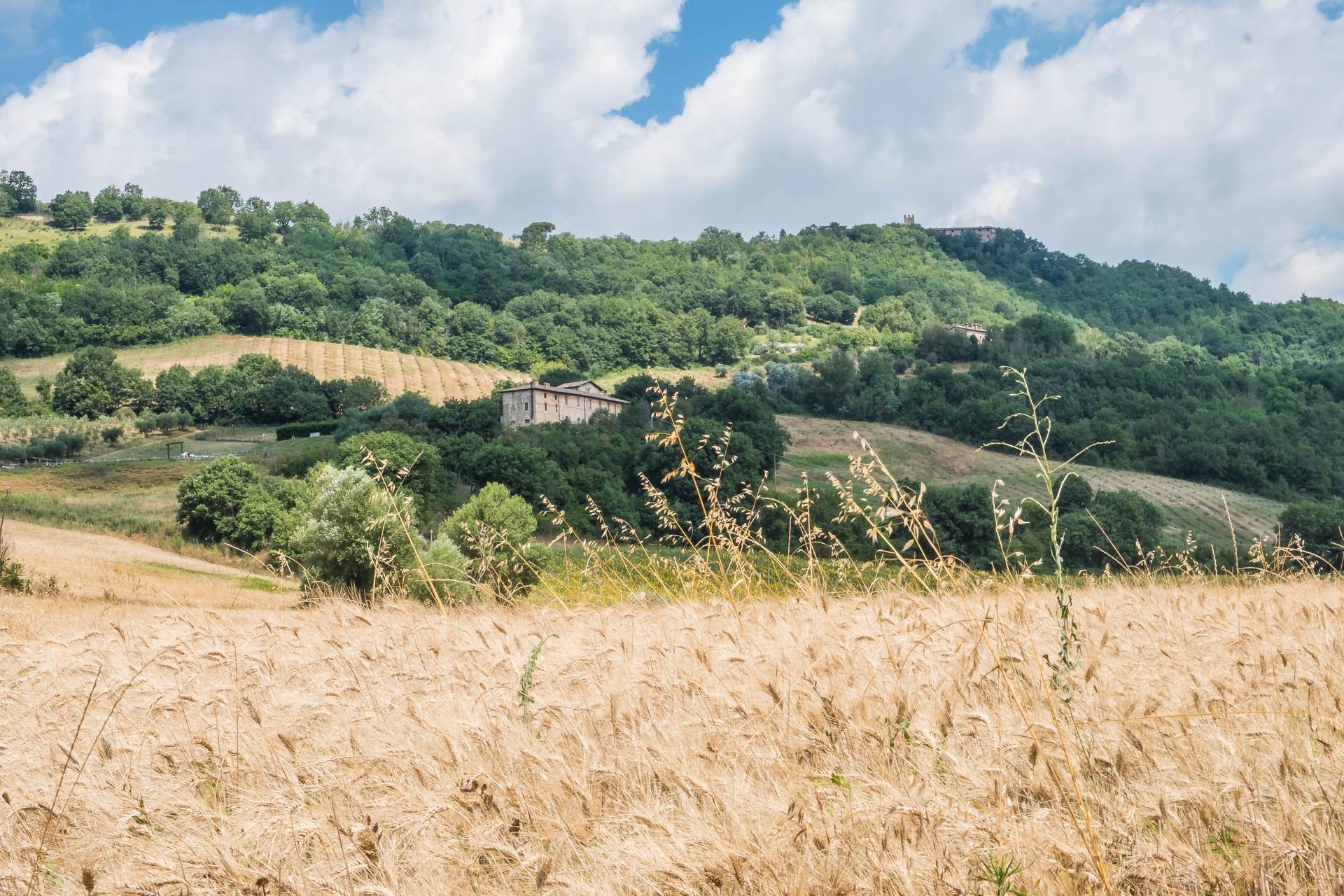 Umbertide, Perugia, 06019, IT, 12 Bedrooms Bedrooms, ,14 BathroomsBathrooms,Residential,For Sale,1986258