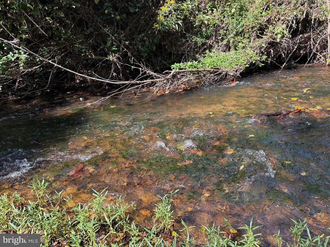 Appomattox, Virginia, 24522, United States, ,Land,For Sale,1982903