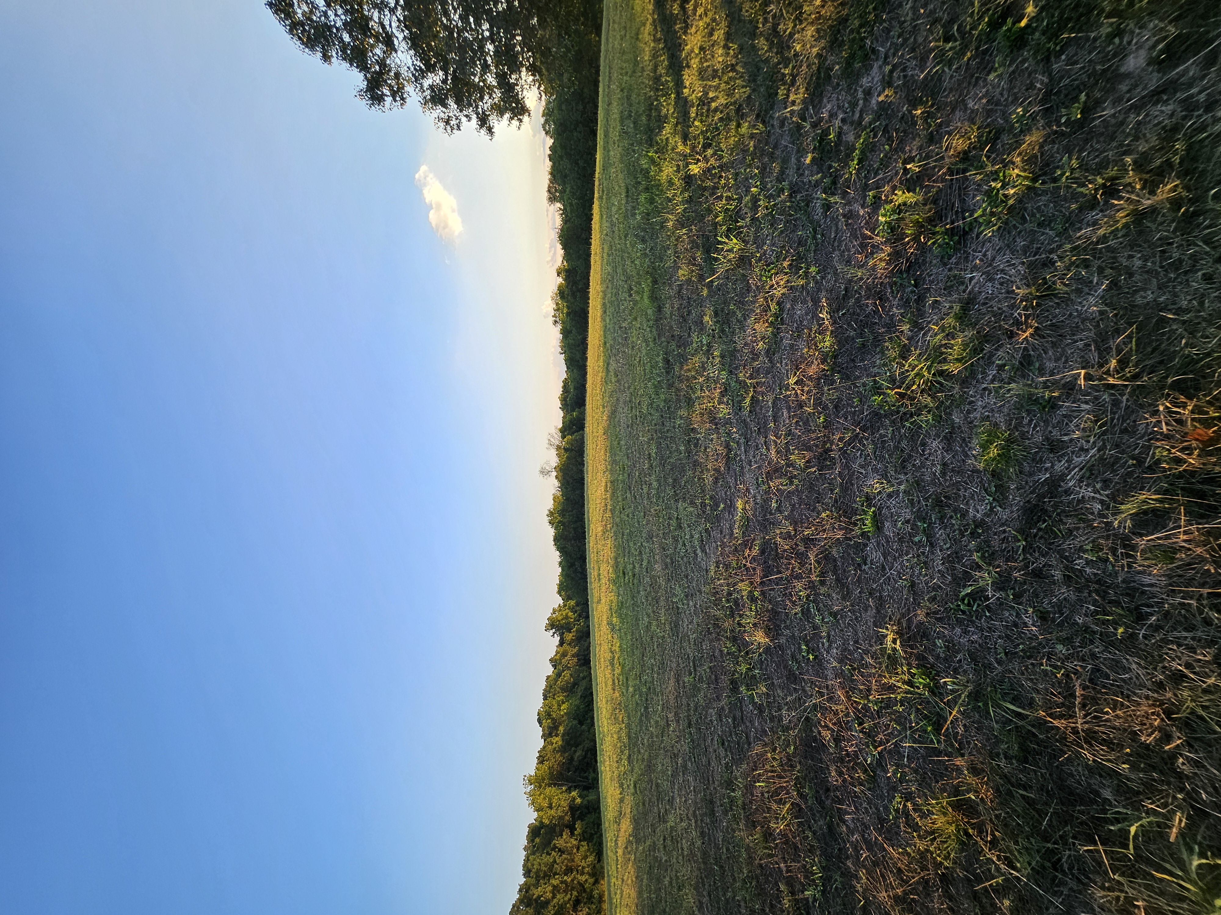 Pierce City, Missouri, 65723, United States, 5 Bedrooms Bedrooms, ,3 BathroomsBathrooms,Residential,For Sale,1984282