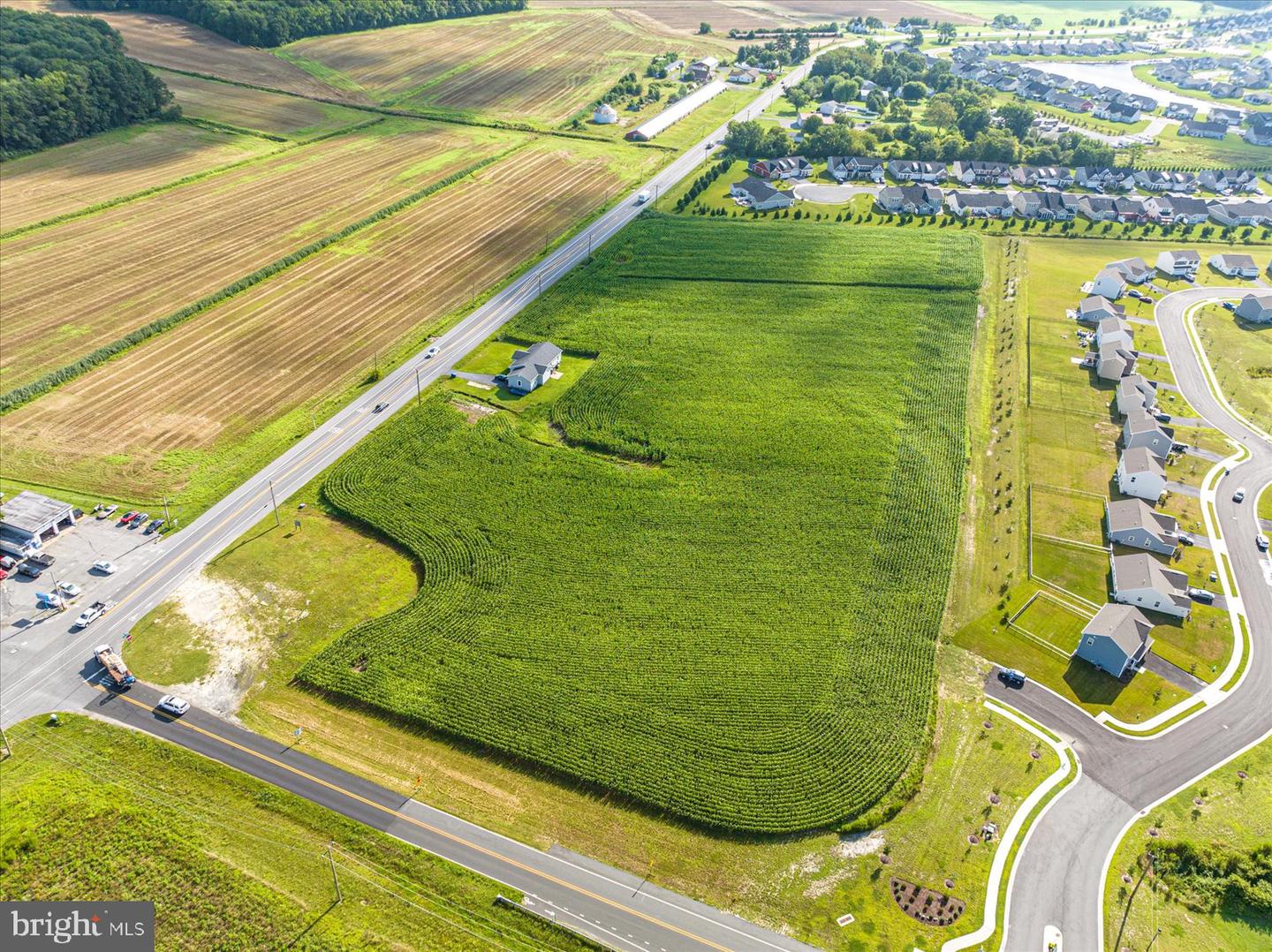 32474 Lighthouse Road, Selbyville, Delaware, 19975, United States, ,Land,For Sale,32474 Lighthouse Road,1613559