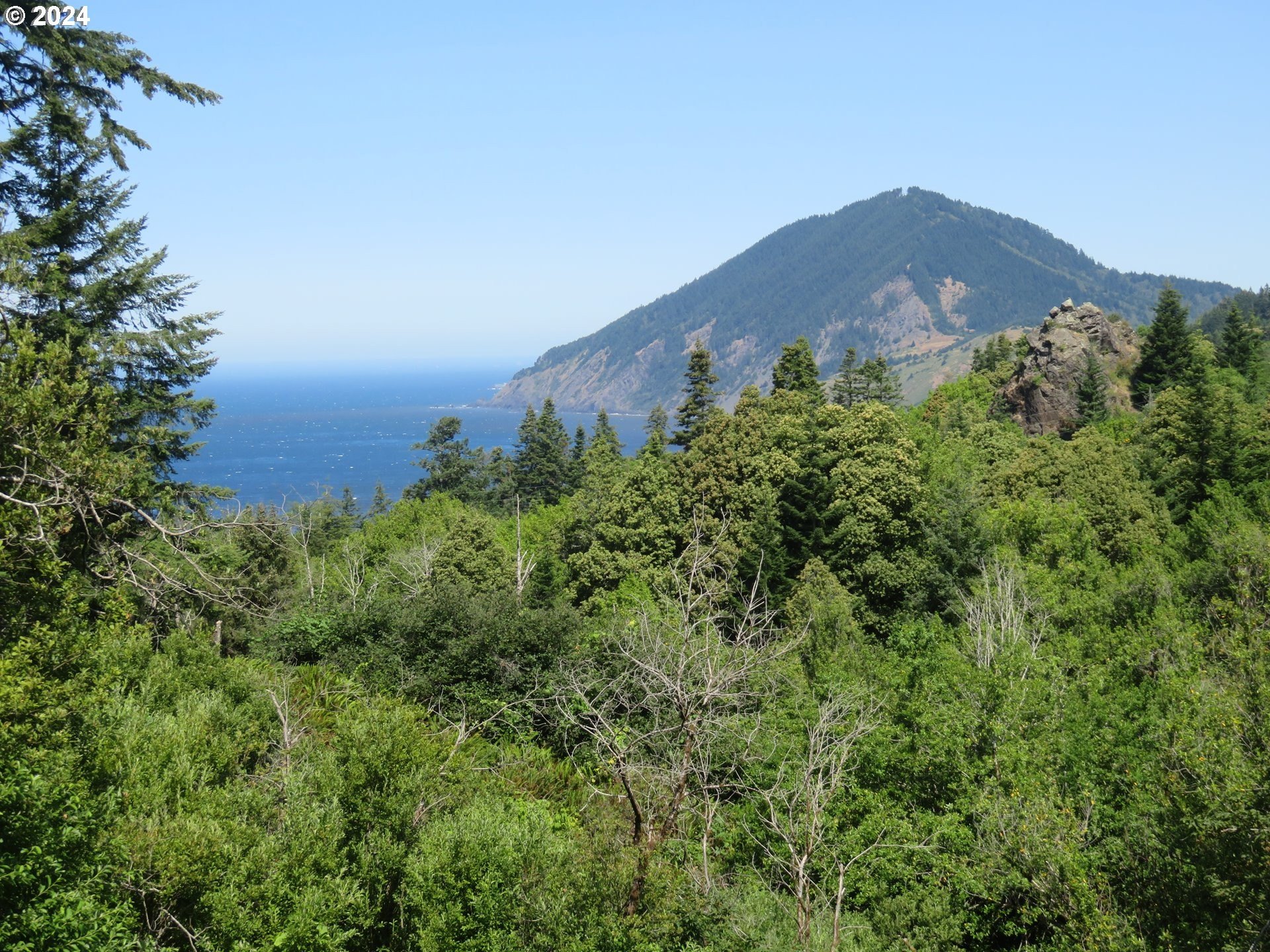 Port Orford, Oregon, 97465, United States, ,Land,For Sale,1977705