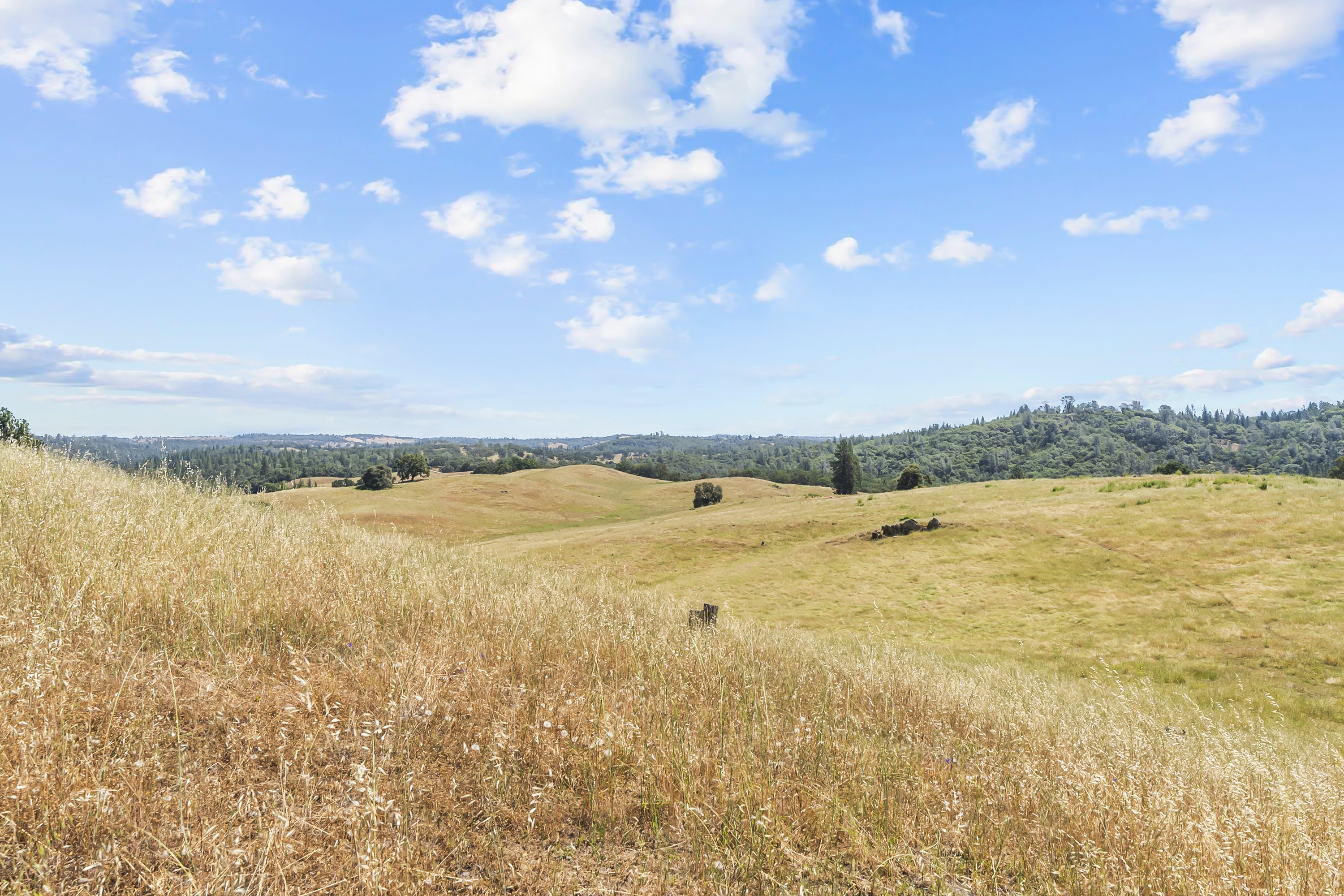  Amoruso Ranch 1000+ Acres Legacy - 物件實景