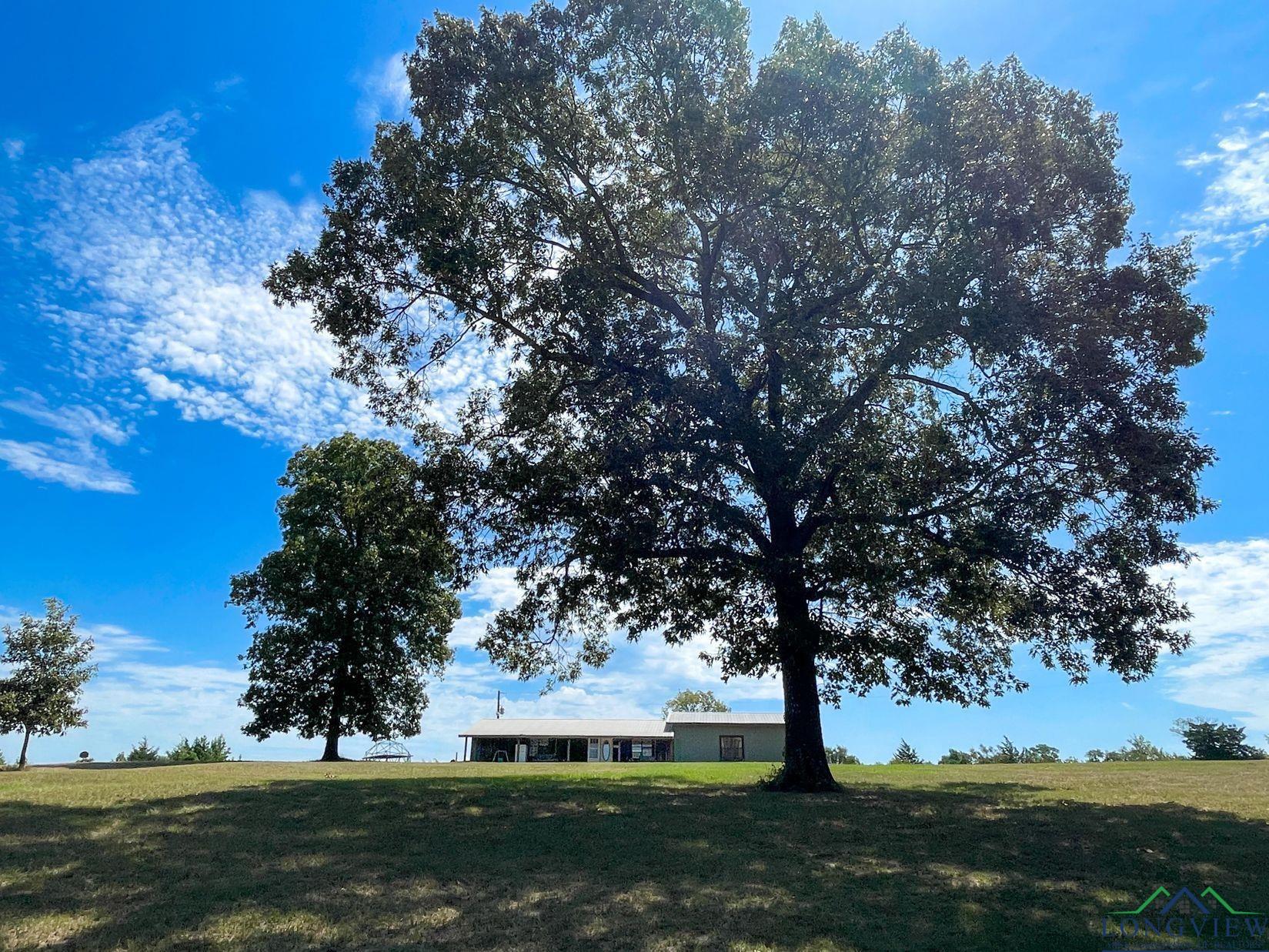 5660-01 Texas Highway 8, Linden, Texas, 75563, United States, 4 Bedrooms Bedrooms, ,3 BathroomsBathrooms,Residential,For Sale,5660-01 Texas Highway 8,1322906