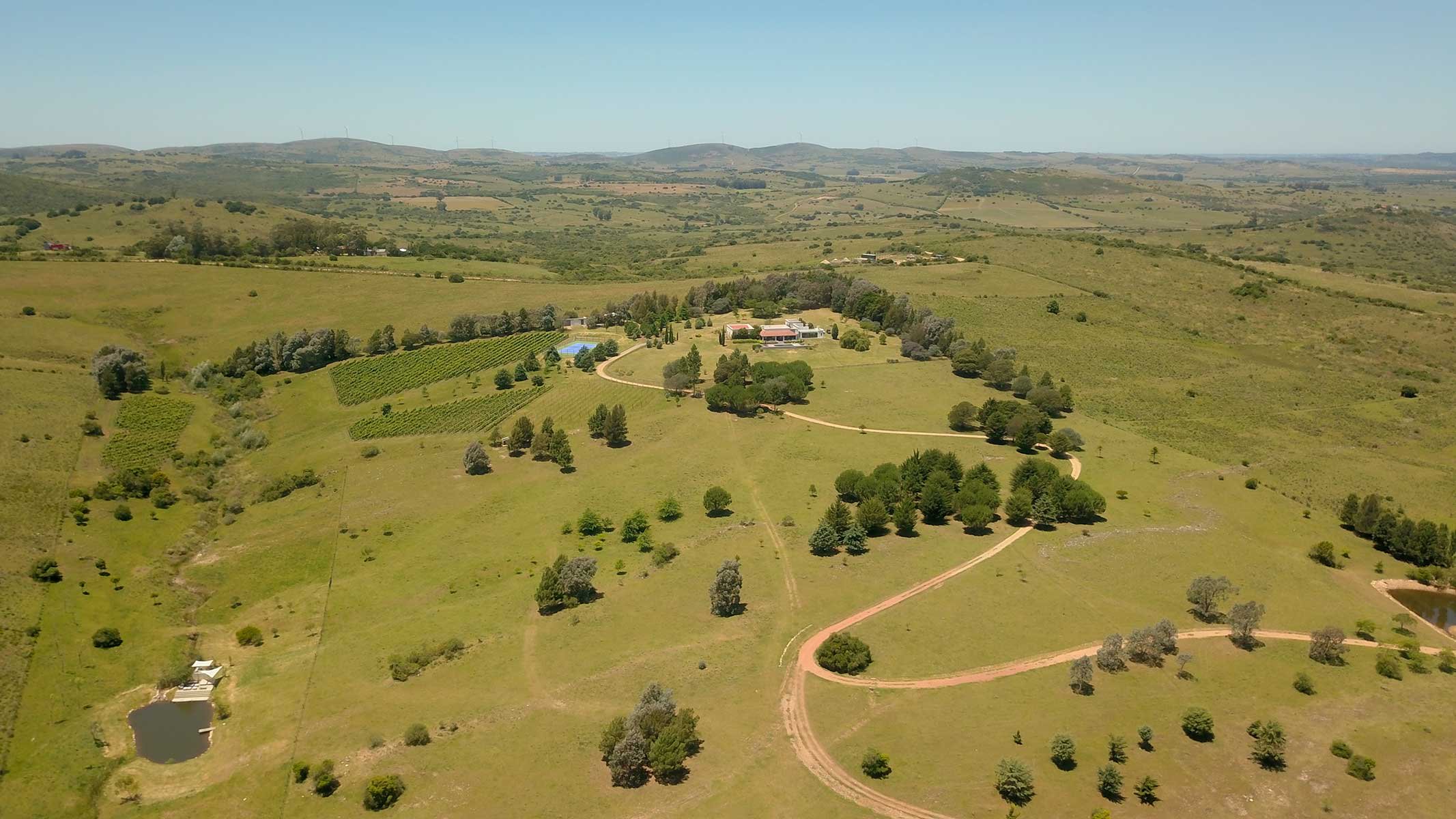  Amazing farm in Pueblo Eden. - 物件實景