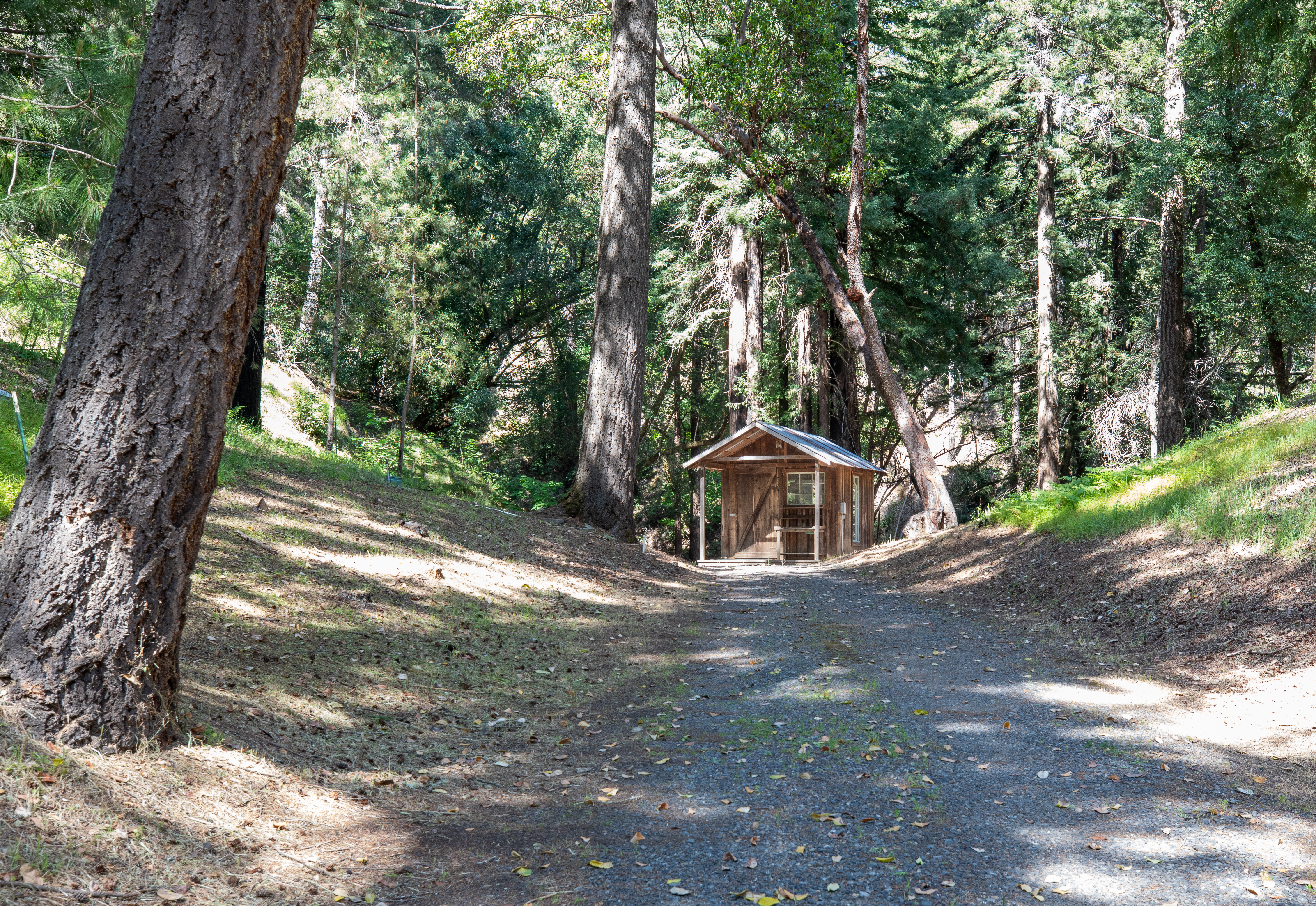  18900 Armstrong Woods Road, Guerneville, CA 95446 - 物件實景