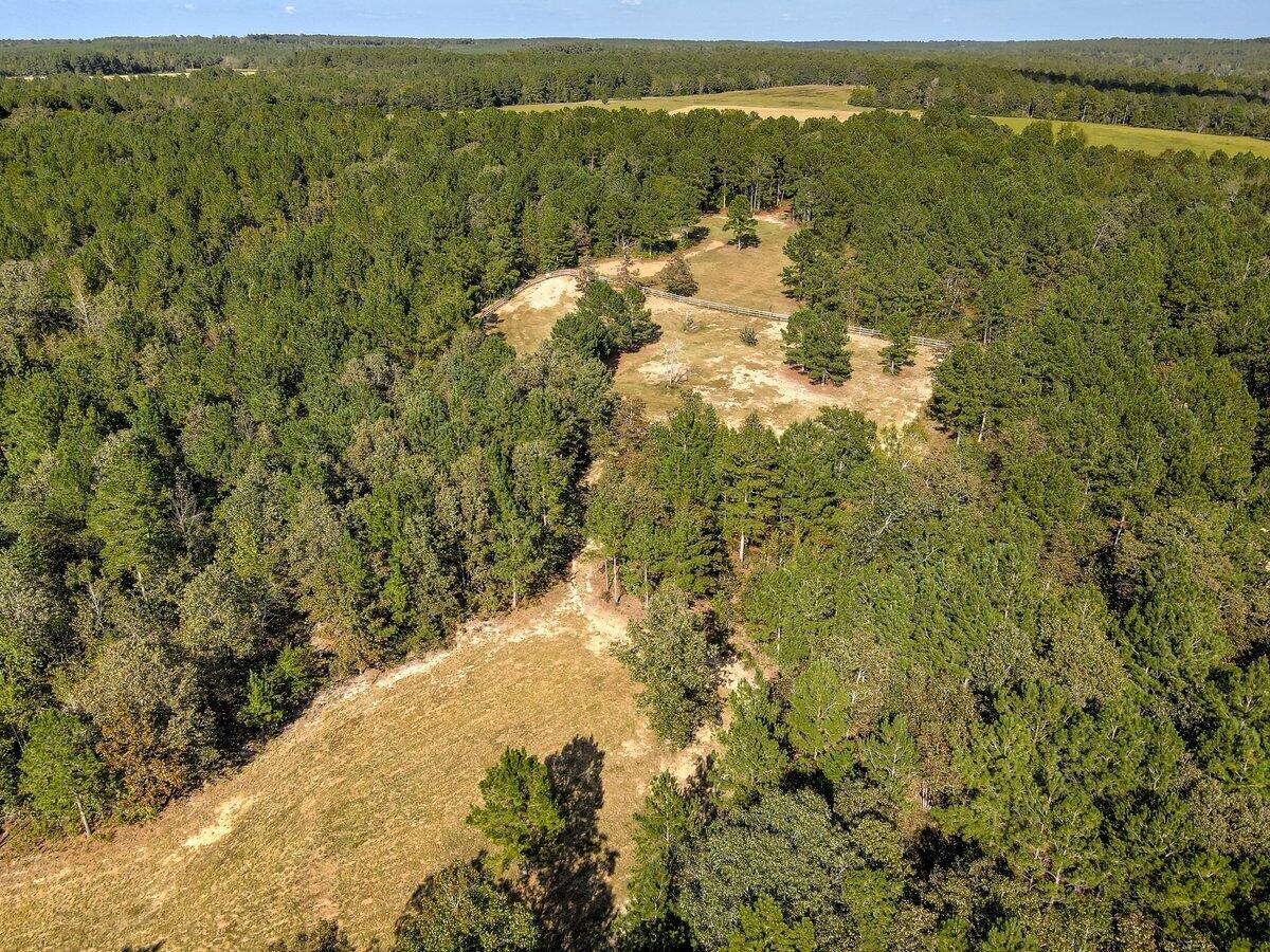 Wagener, South Carolina, 29164, United States, ,Land,For Sale,1969040