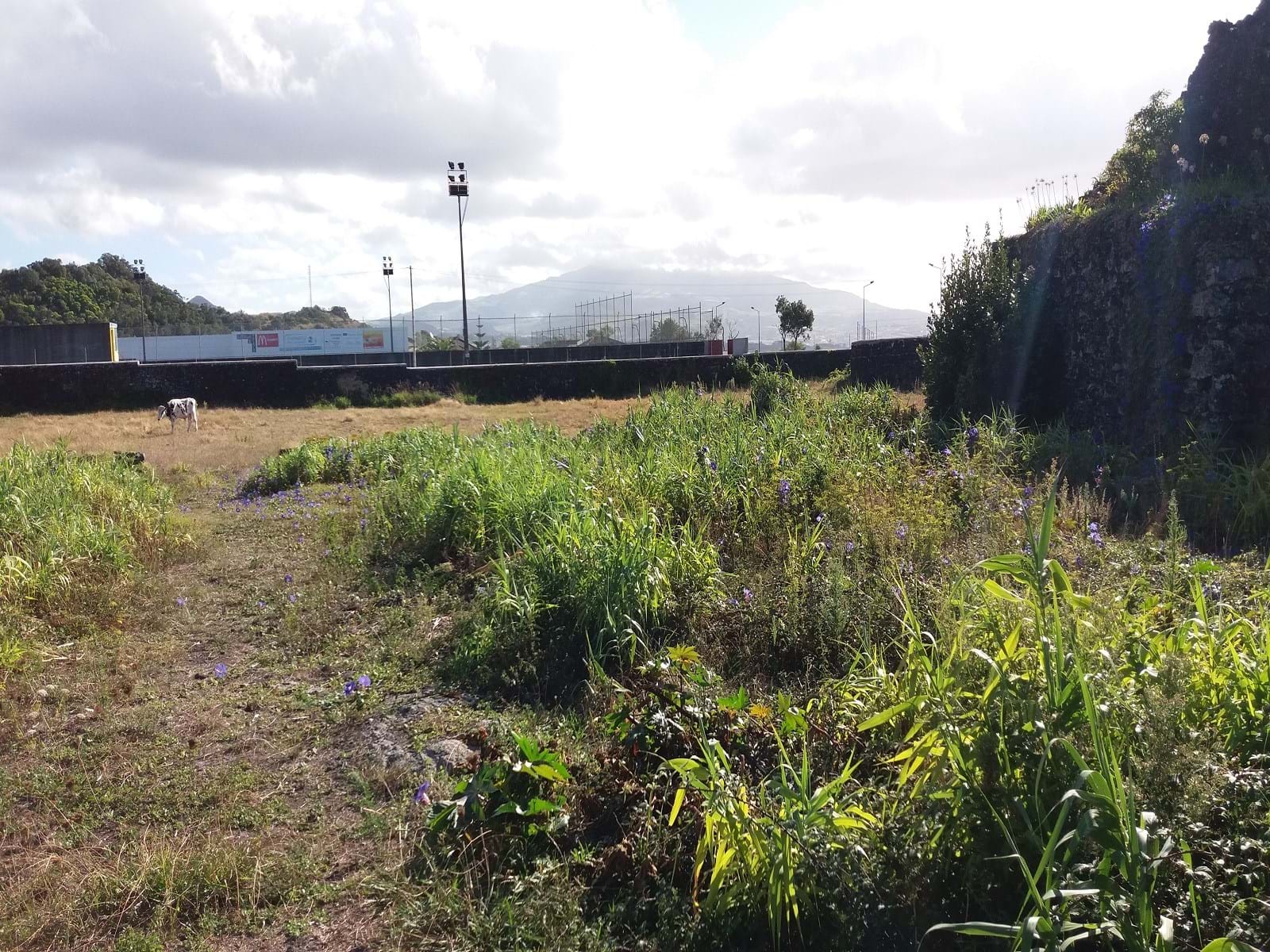 Ponta Delgada, Ilha de São Miguel, 9500-000, PT, ,Land,For Sale,1700309